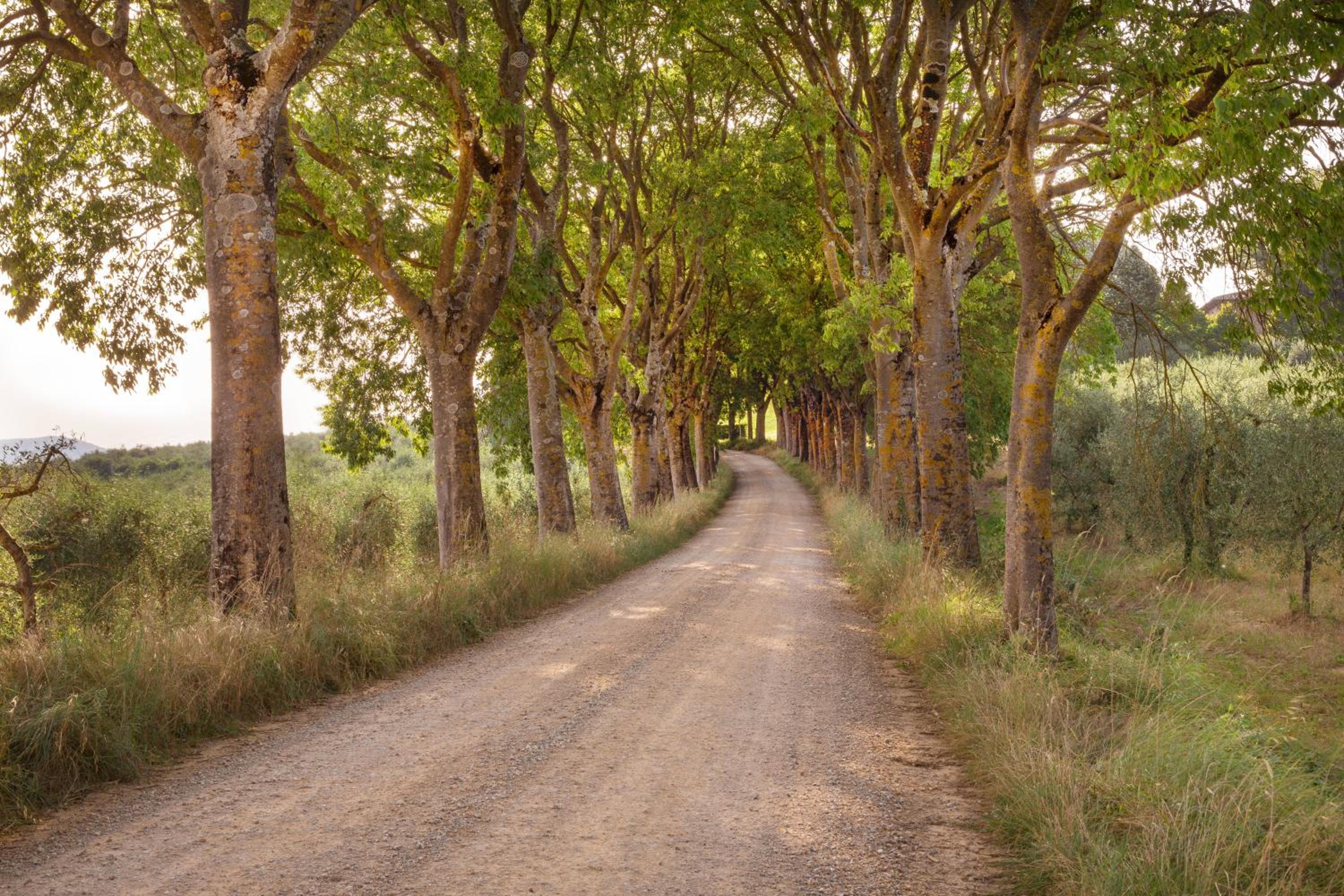 Borgo Villa Certano - Case Vacanza in Toscana