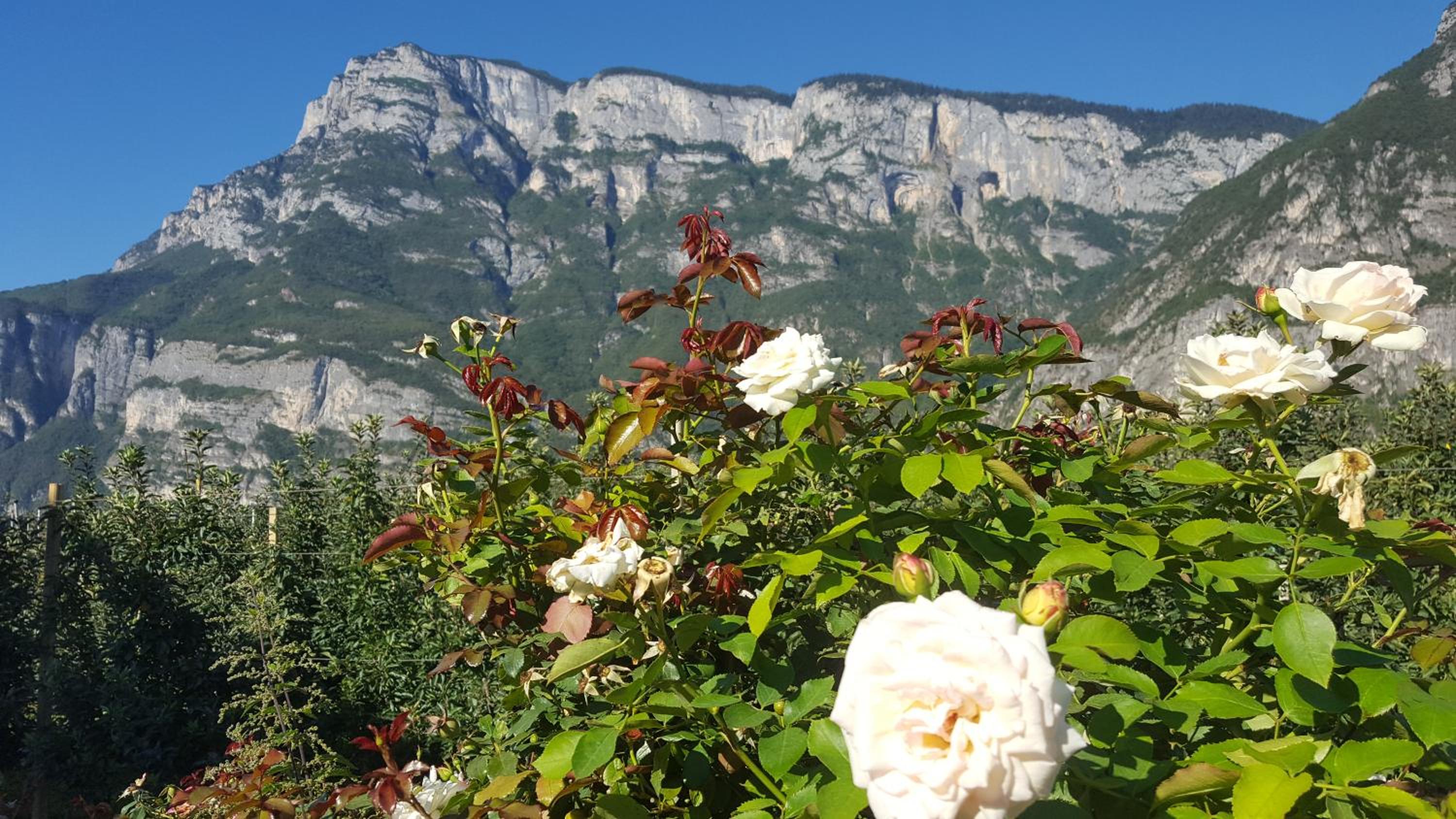 Agritur Clementi