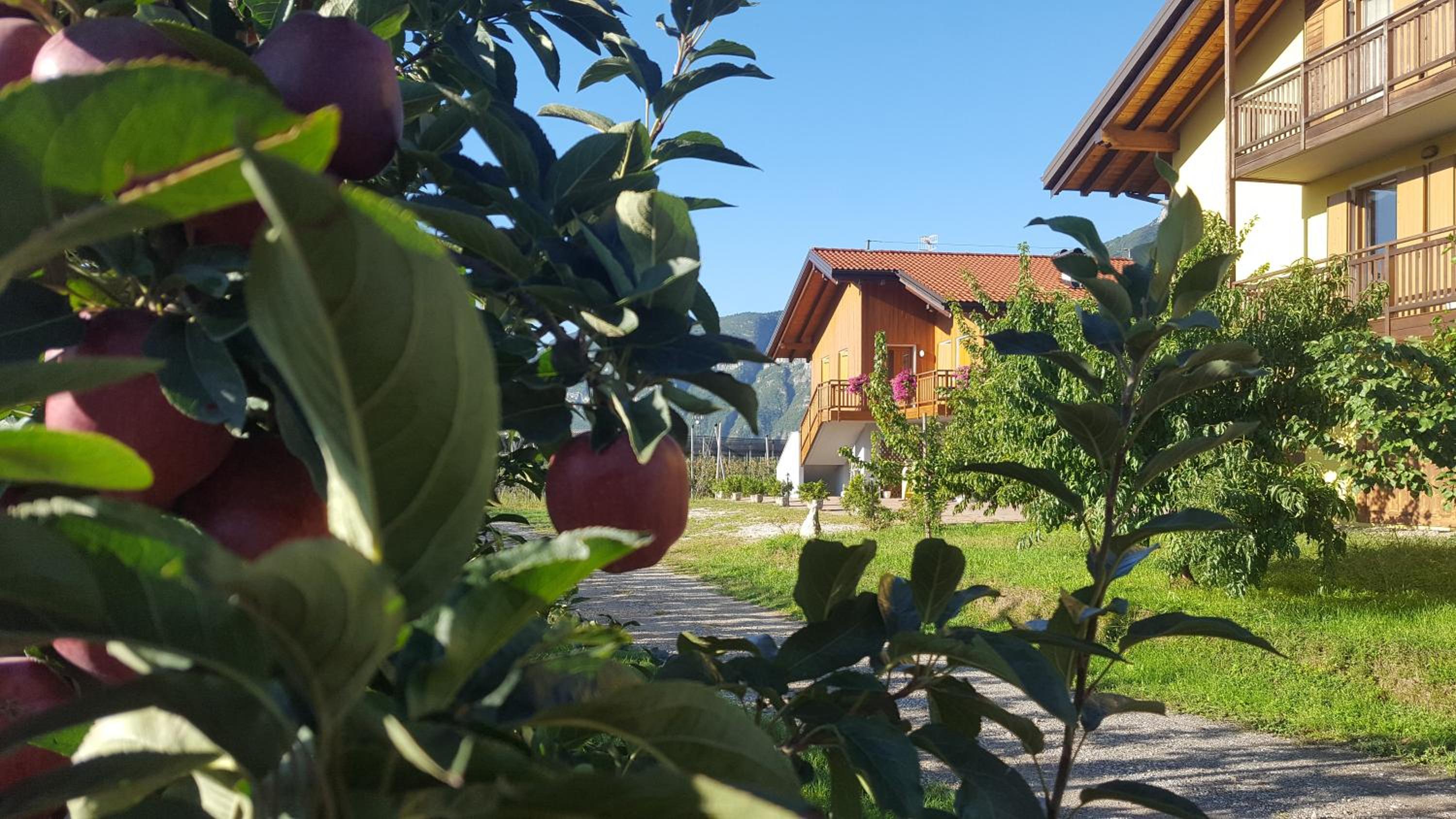 Agritur Clementi