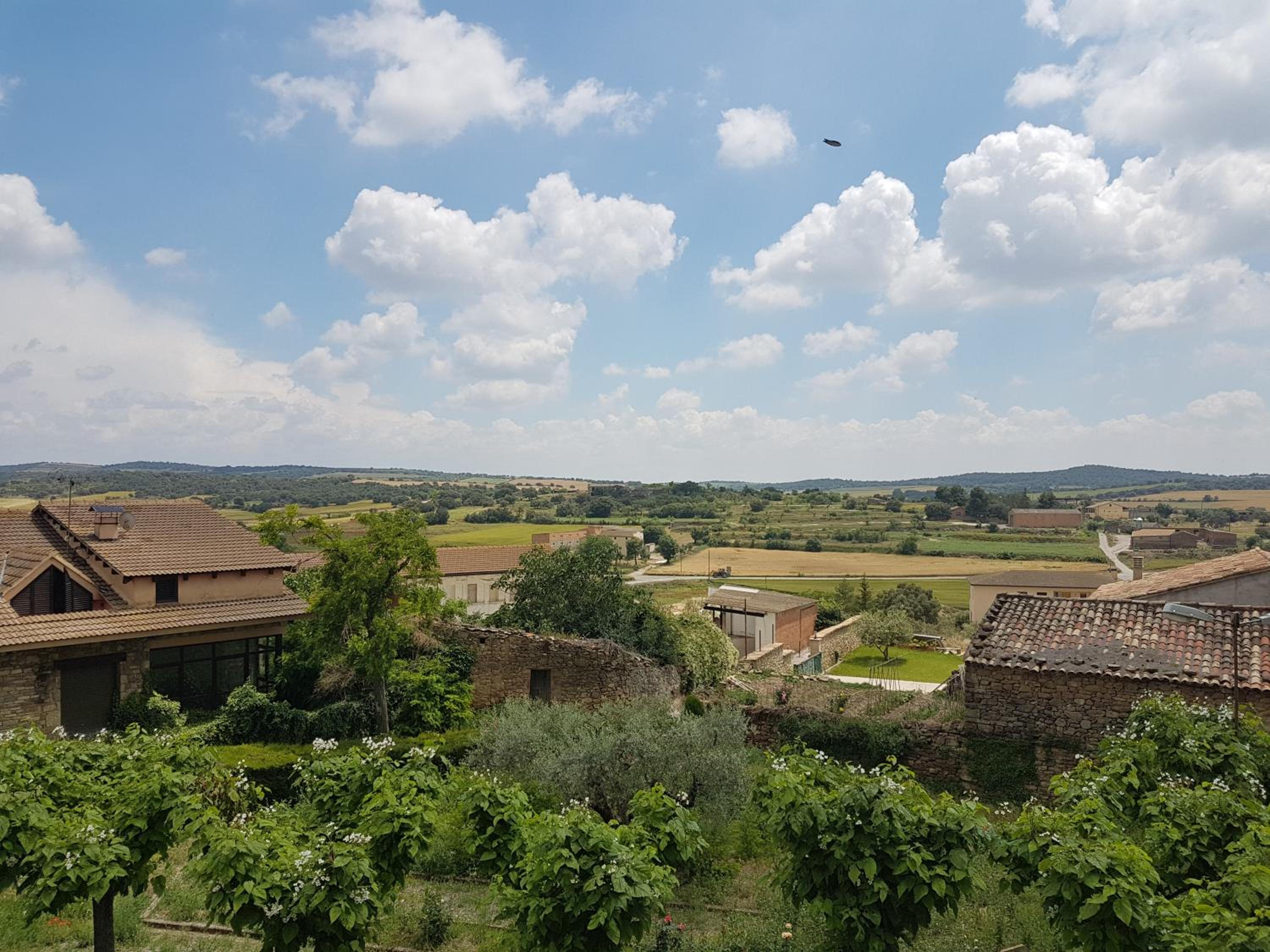 Cal Antonio view 4