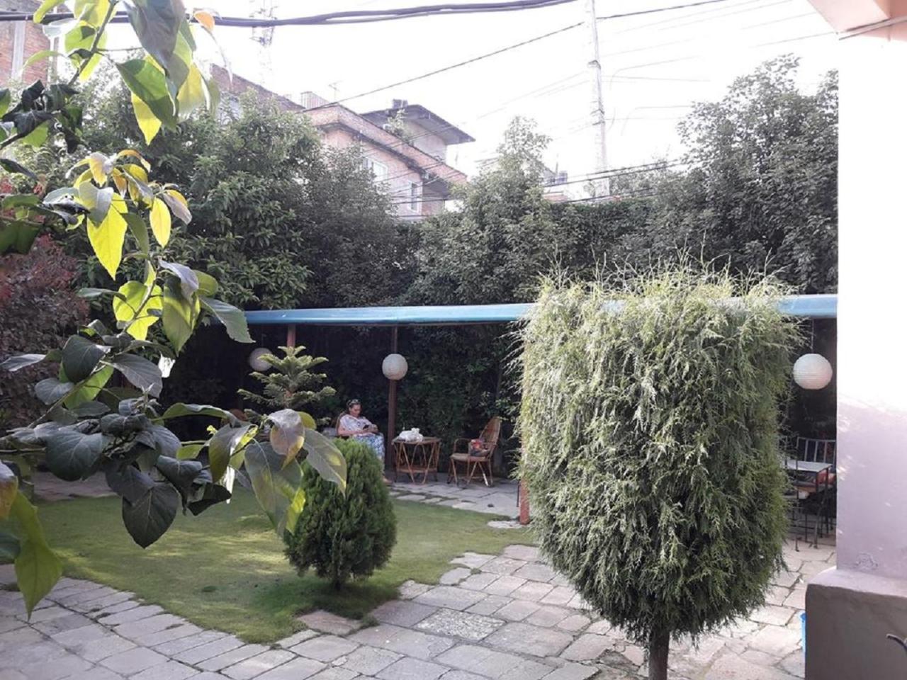 Photo 41