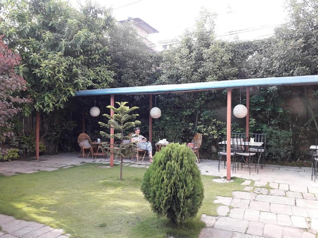 Photo 44