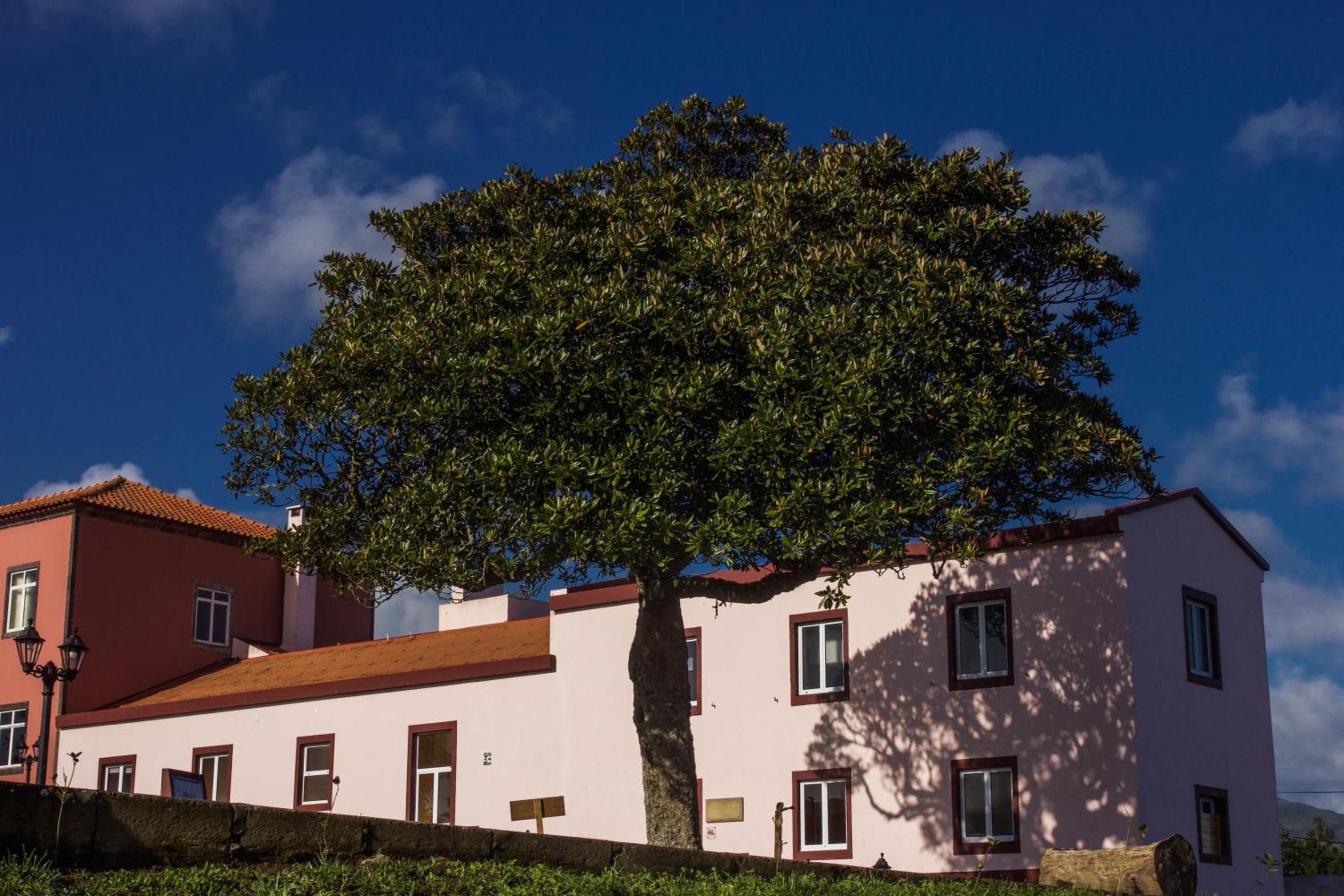 Quinta Do Norte