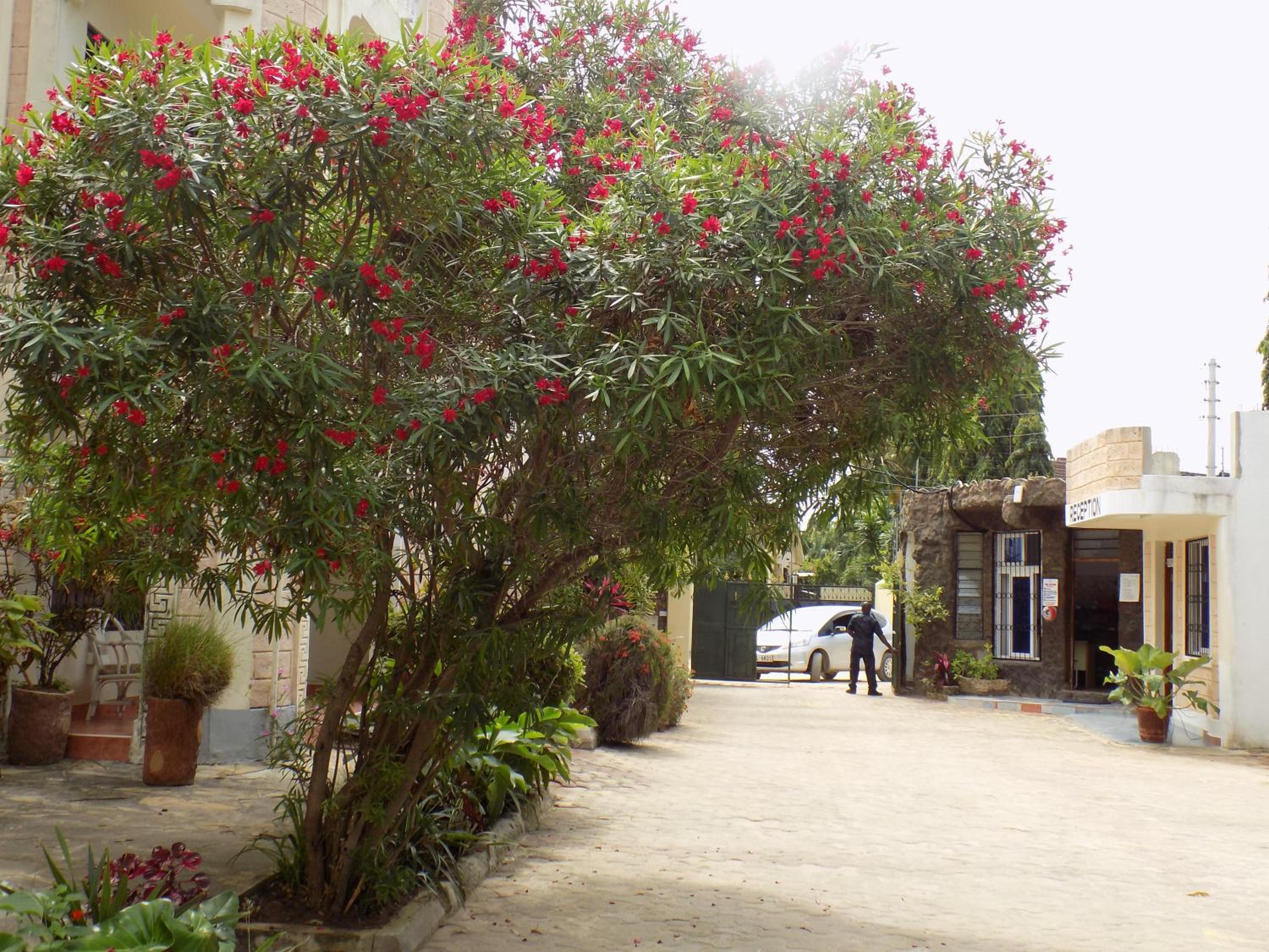 Photo 20