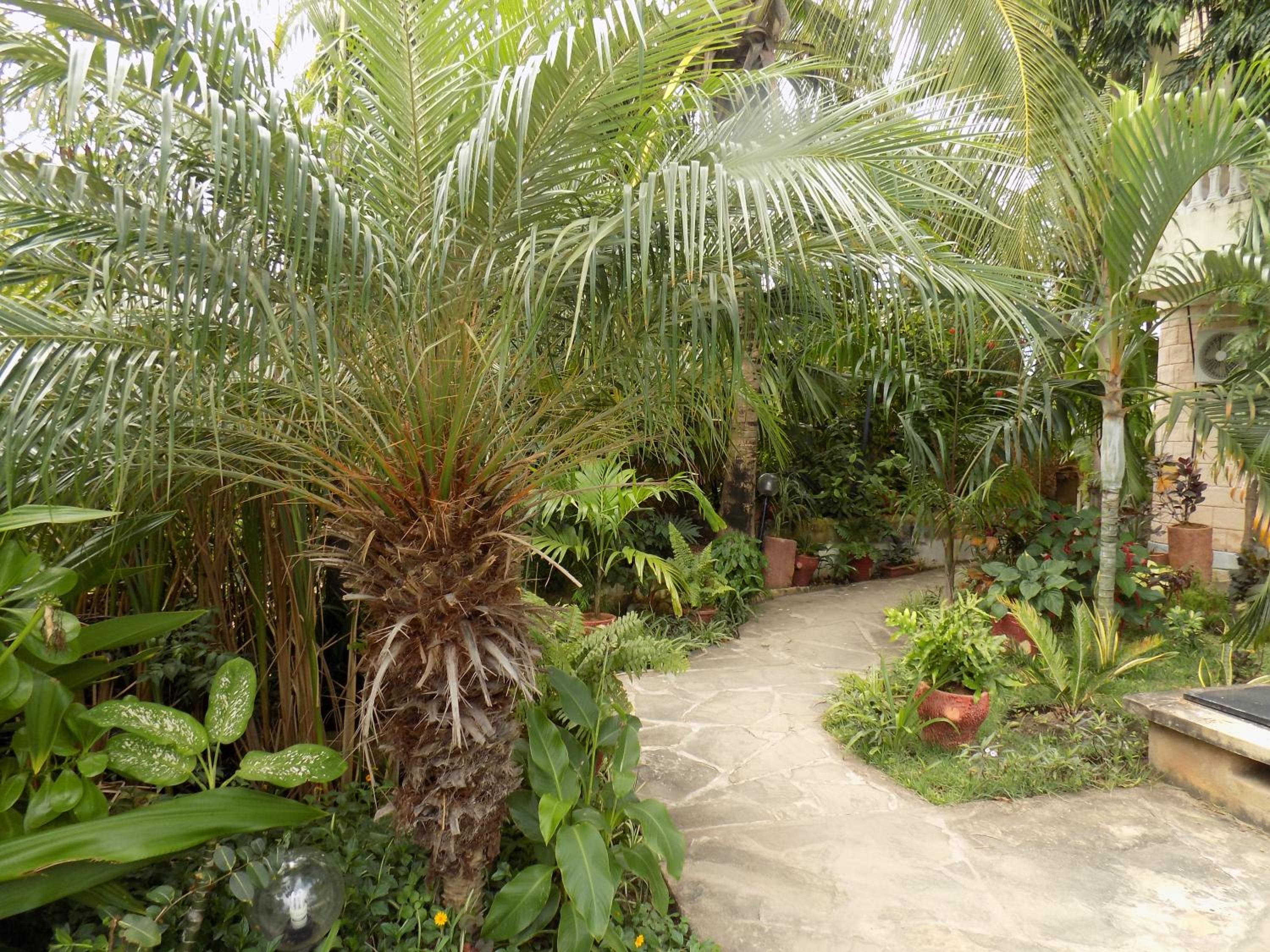 Photo 13