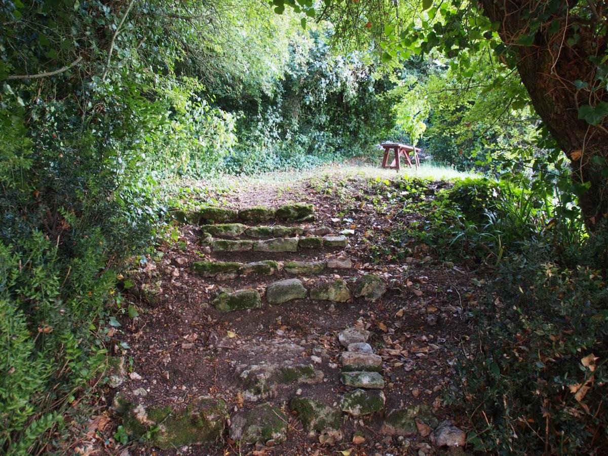 Photo 22
