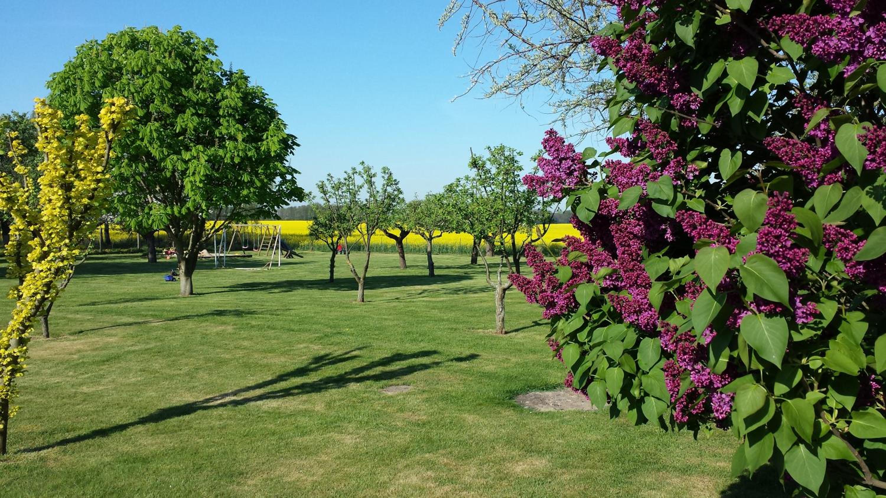 Landferienhof "Müritzufer" view 5
