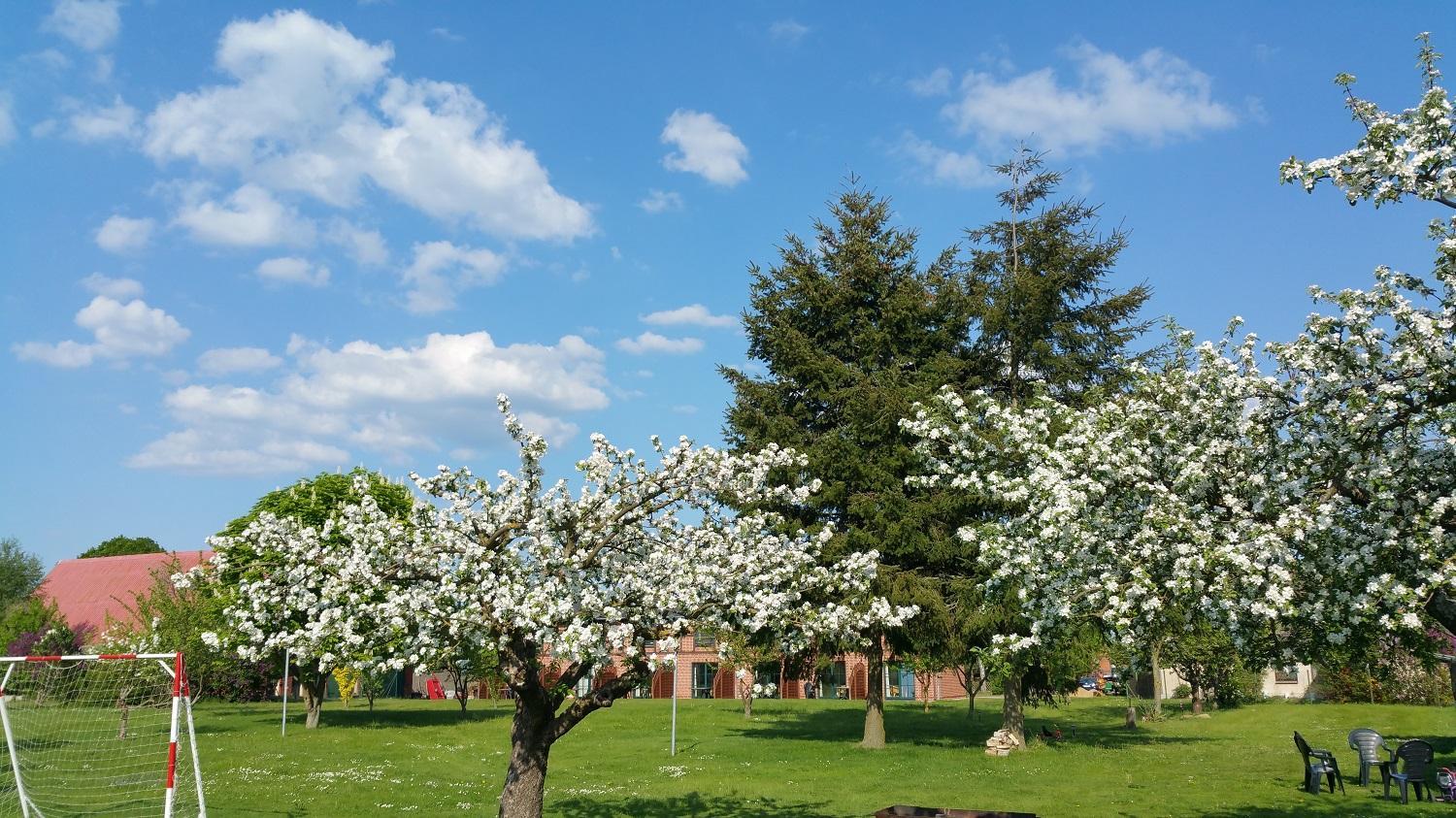 Landferienhof "Müritzufer" view 4