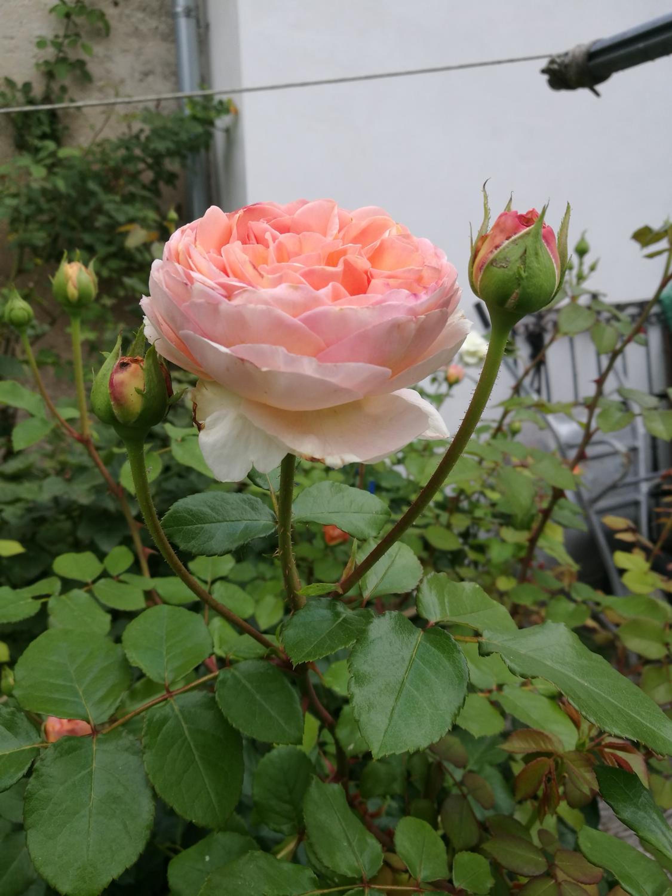 Photo 30