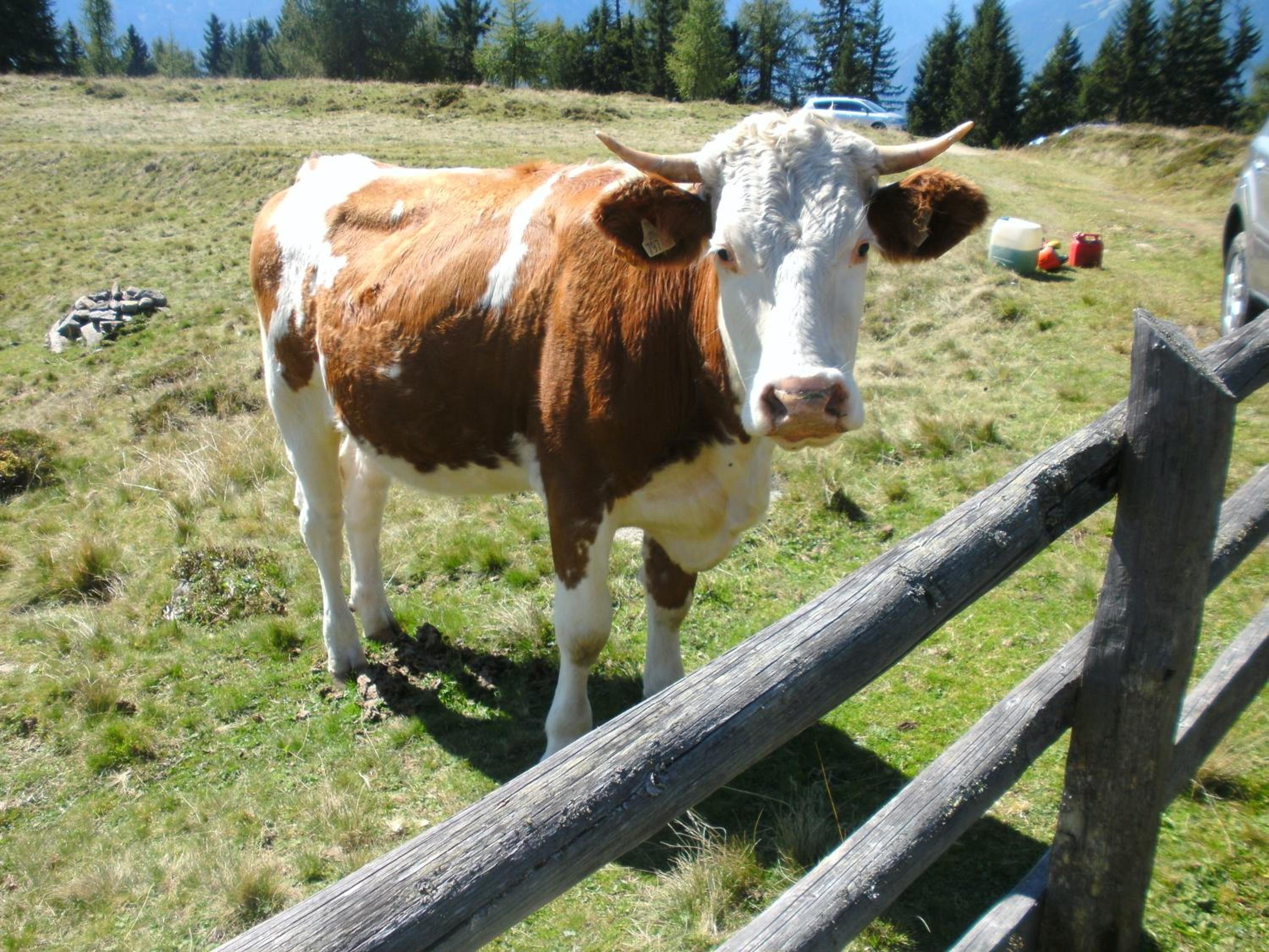 Straganzhof