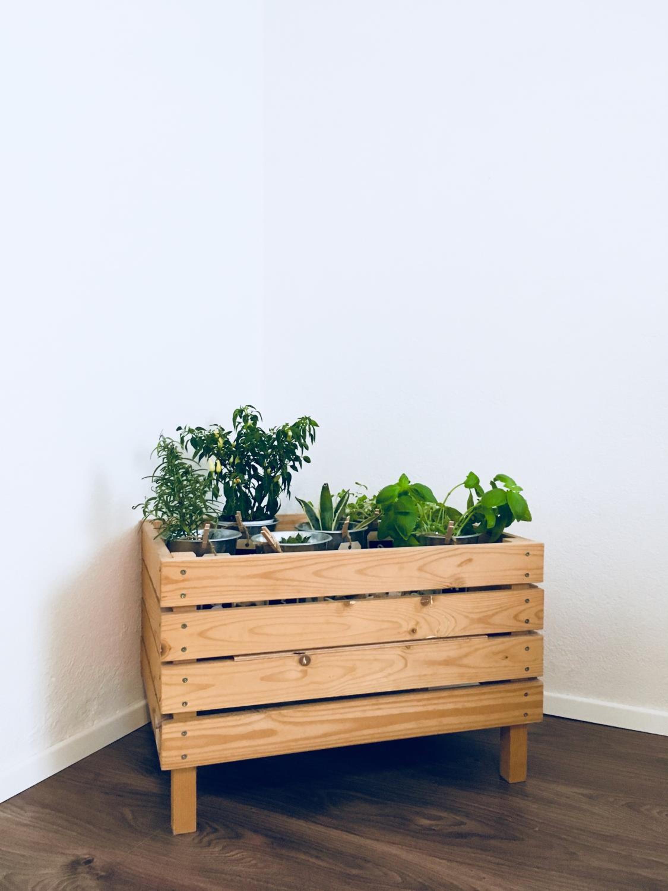 Urban herbs apartment
