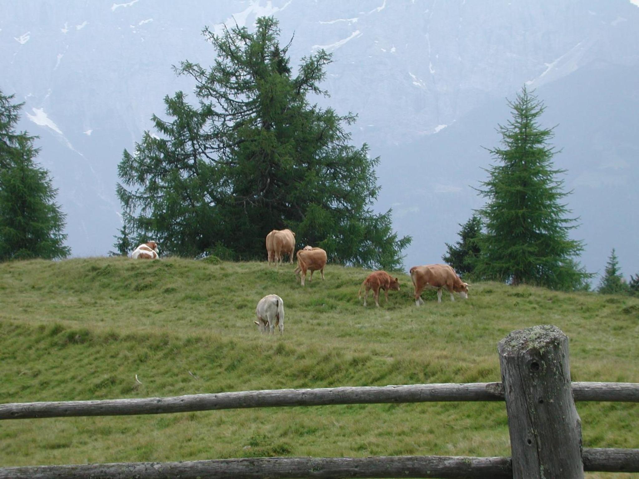 Straganzhof