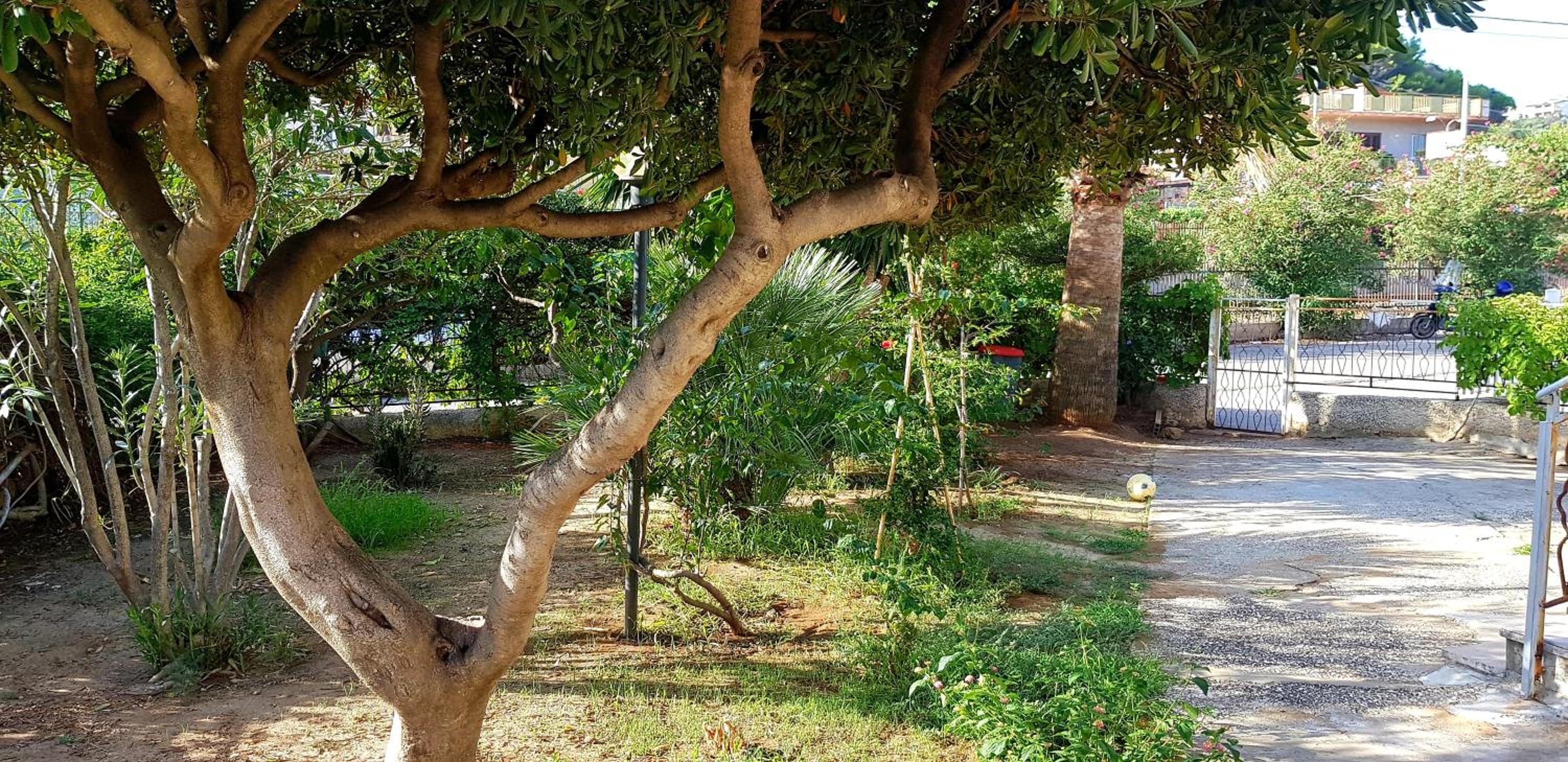 Casa Vacanze Sea-Life view 5