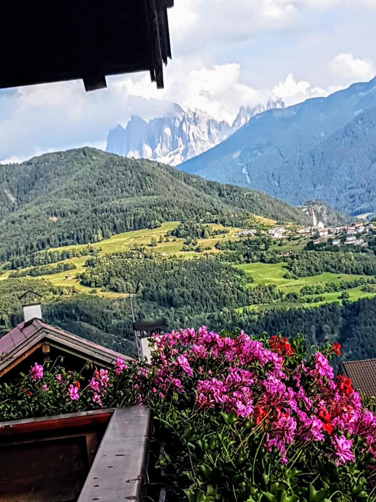 Schnellehof view 4