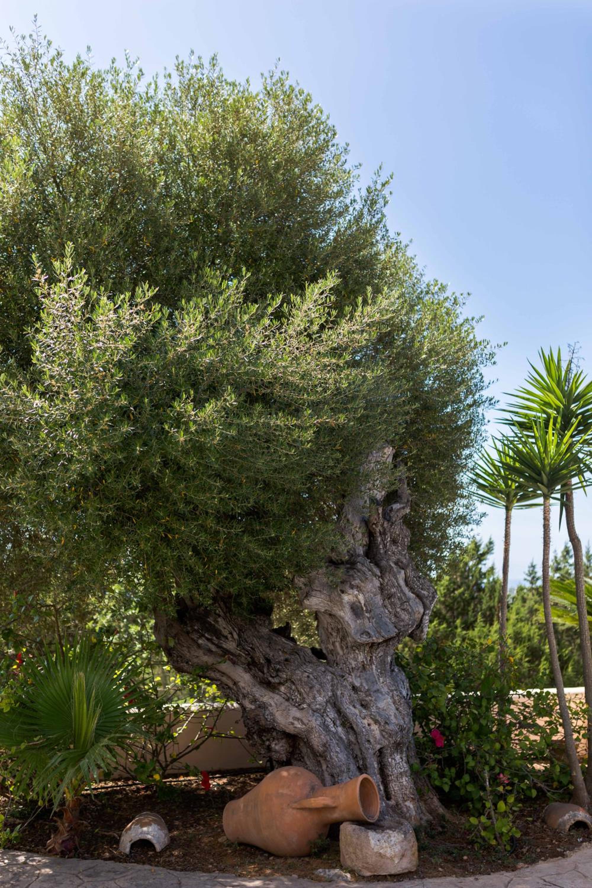 Photo 40