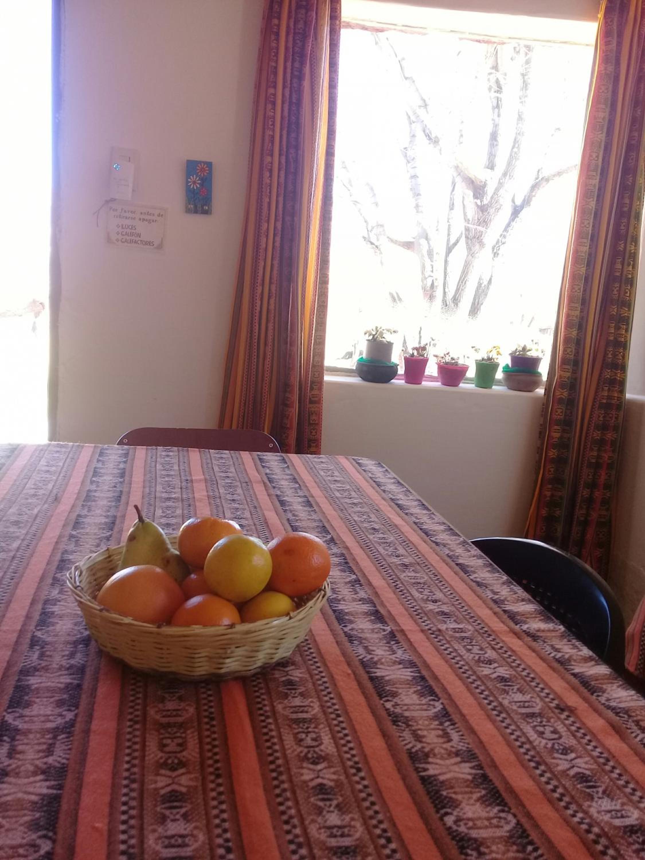 Cabaña El Cardón,casita en el campo quebradeño