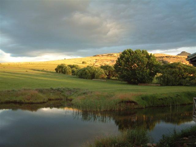 Royal Coachman view 3