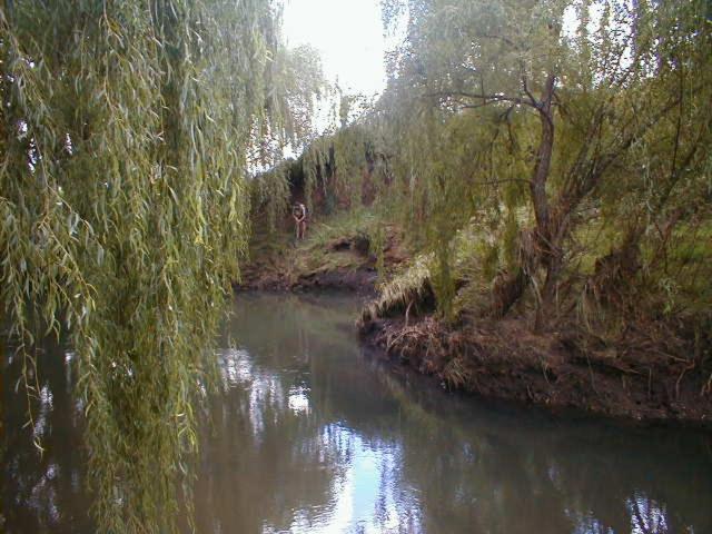 Royal Coachman view 4