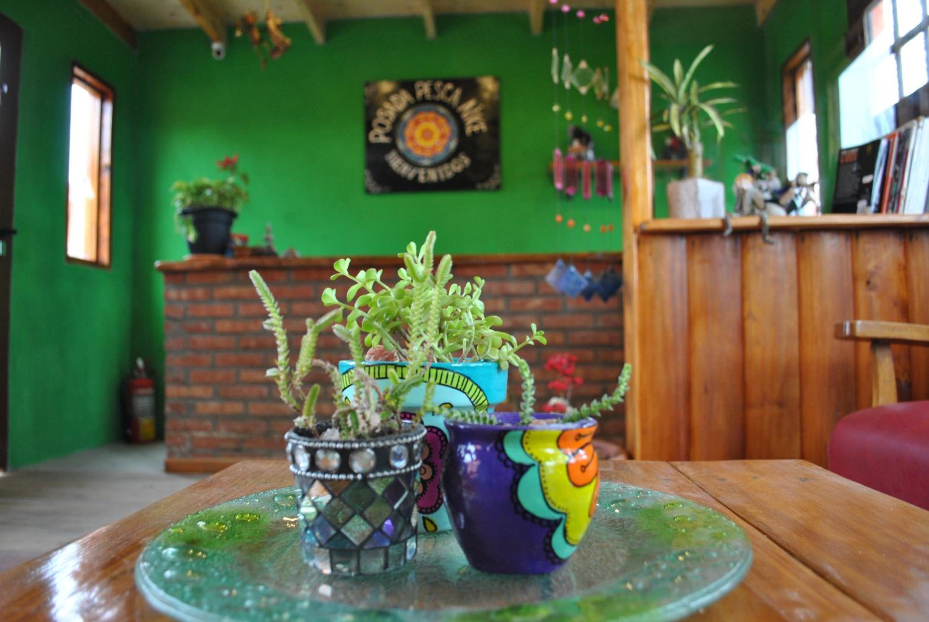 Posada Pesca Aike Patagonico