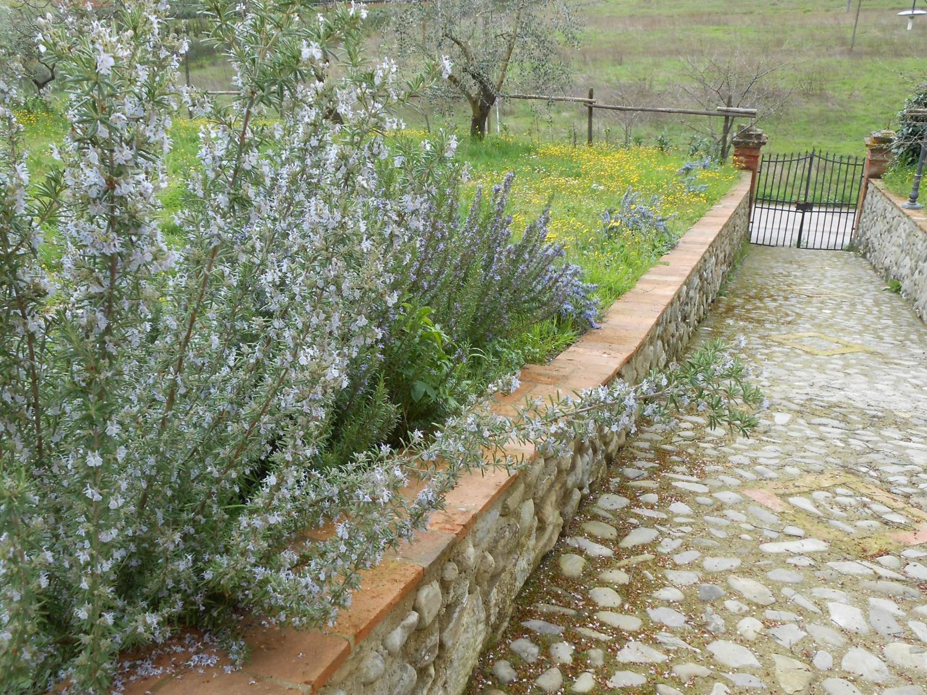 Amedea Tuscany Country Experience