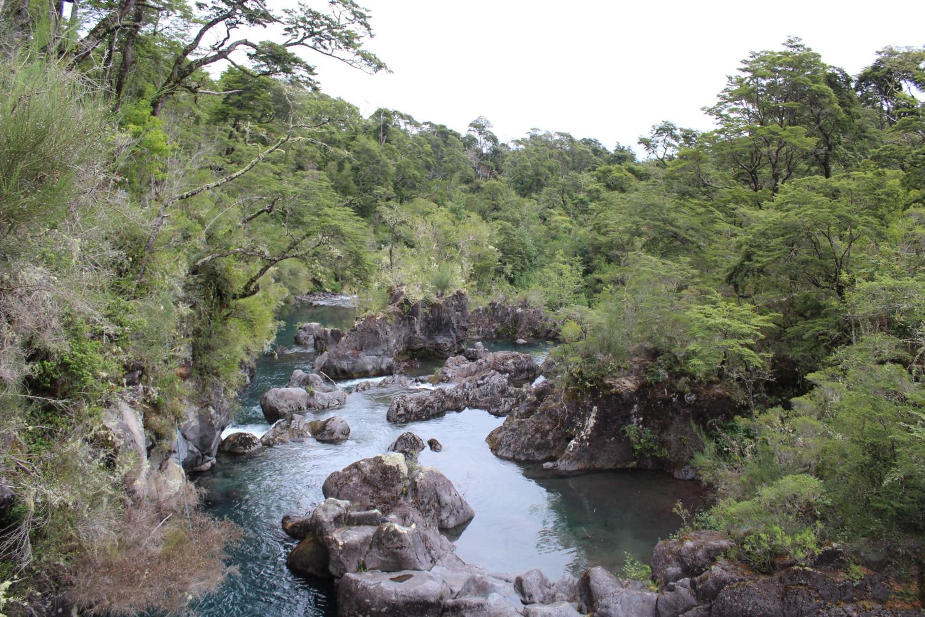 Cabañas Ruta Del Lago