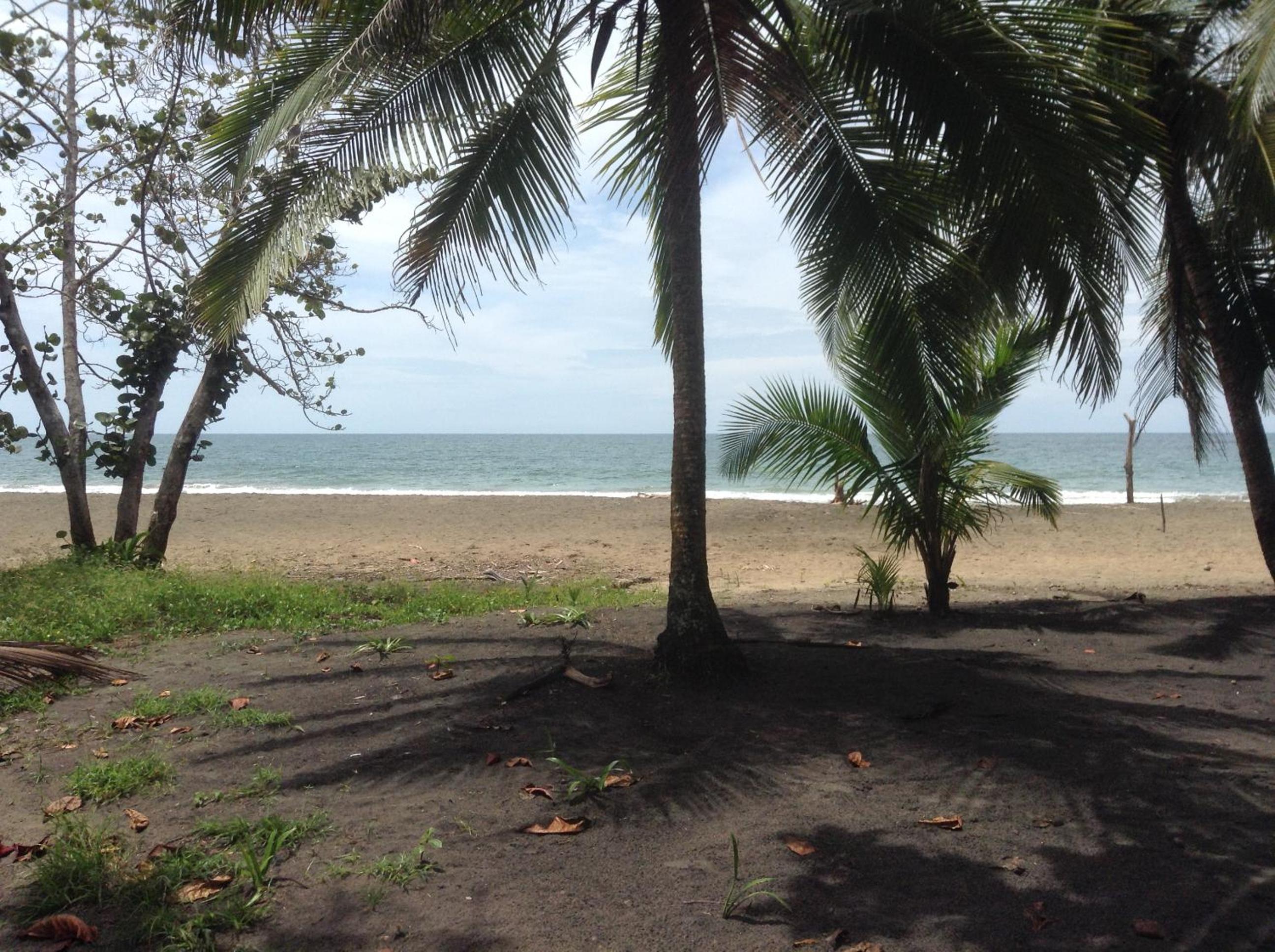 Pineapple house Manzanillo