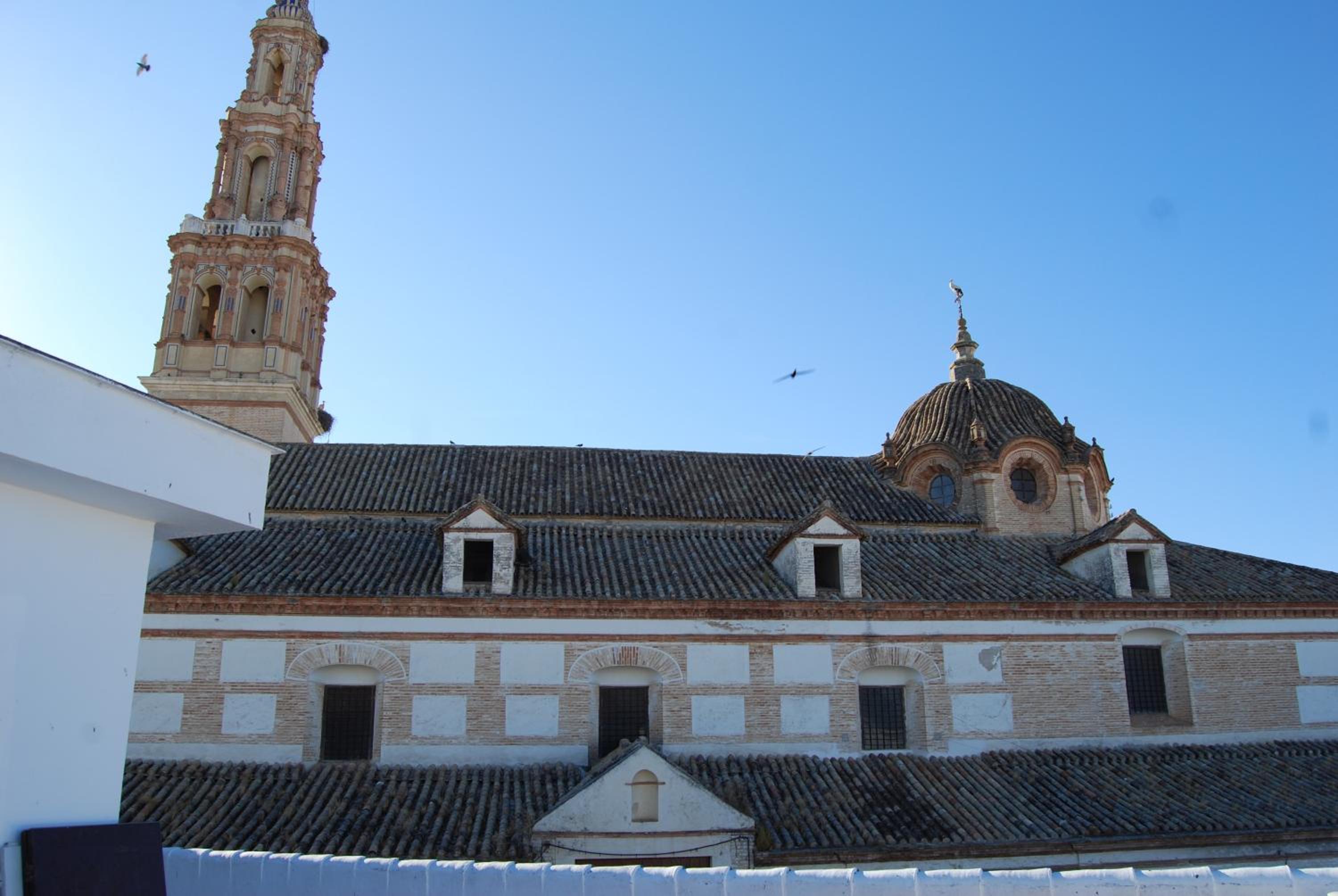 El Patio del Limonero