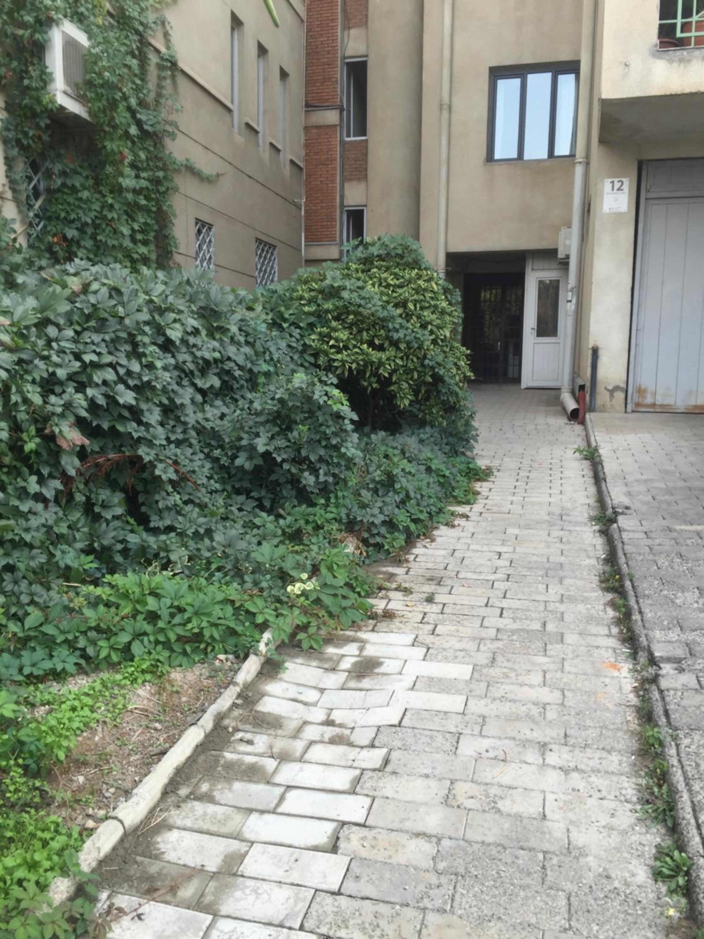 Photo 37