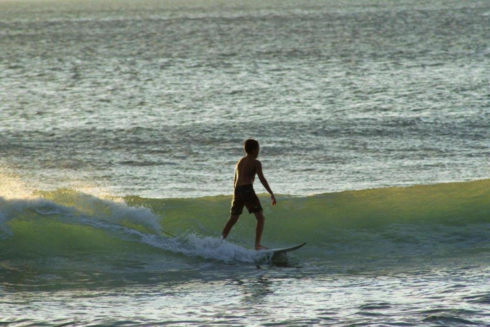 Photo 31