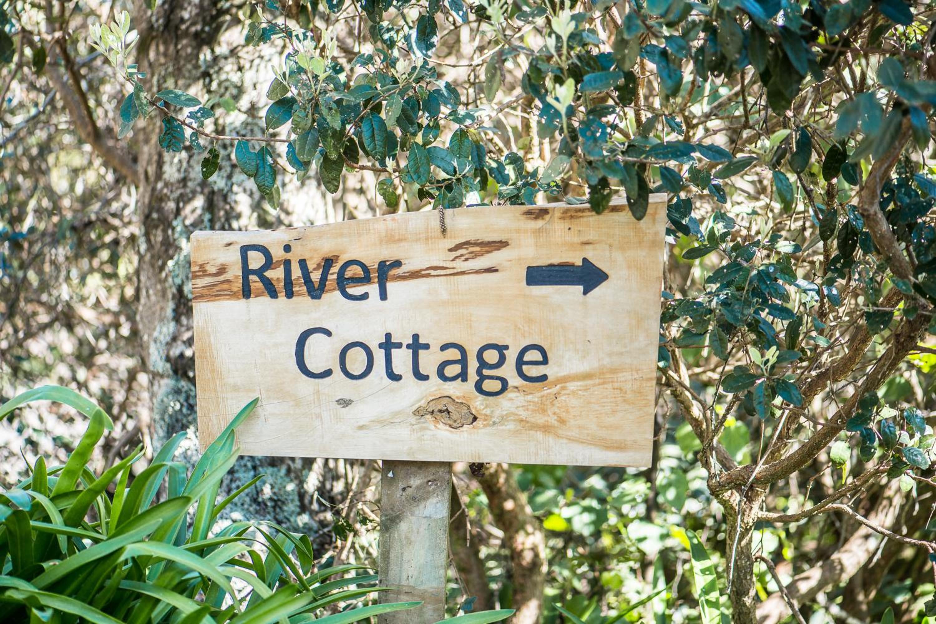 Magic Cottages at Takou River view 3