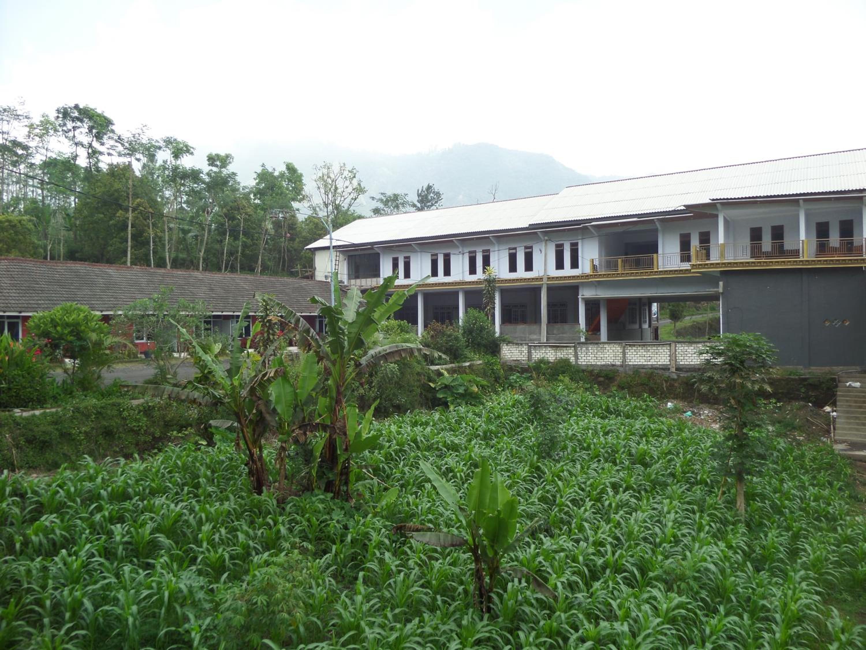 Km 31 Sujono Guesthouse