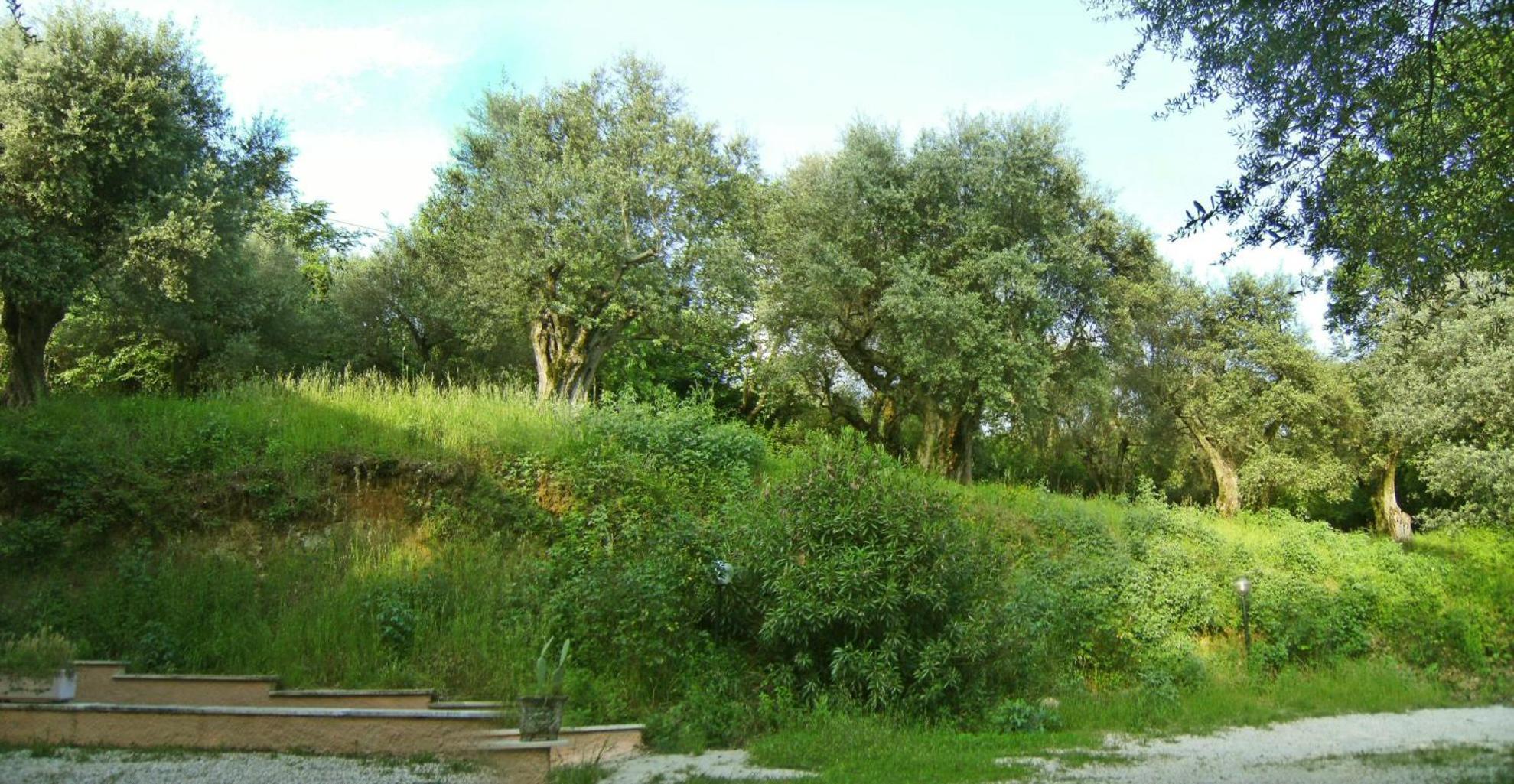 Photo 28