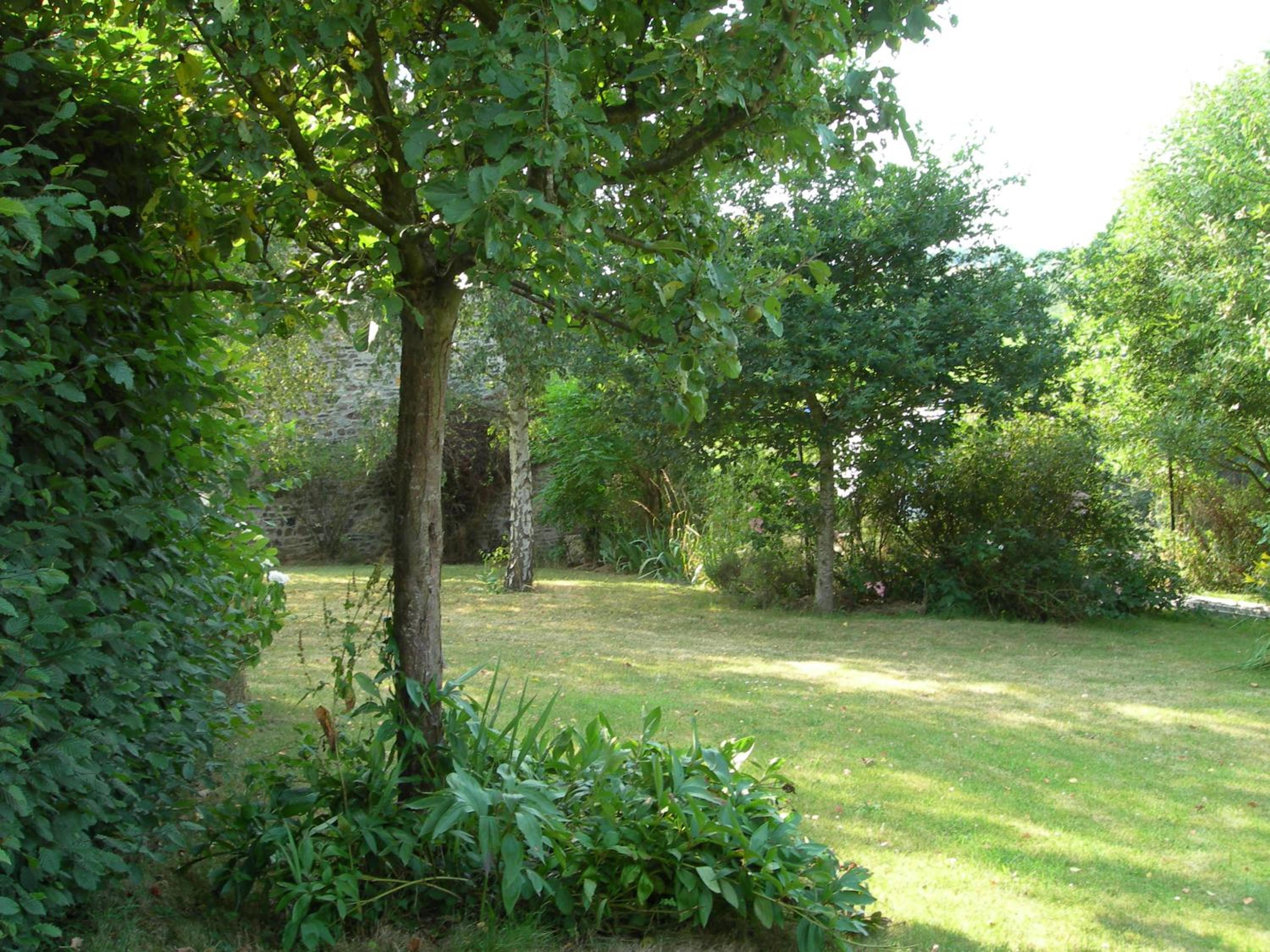 Photo 22