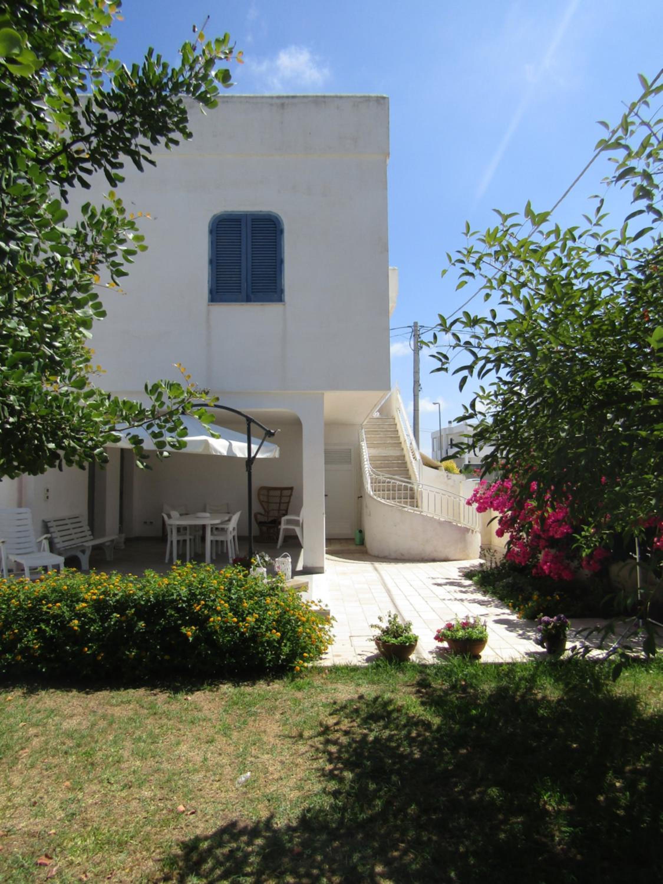 Photo 26
