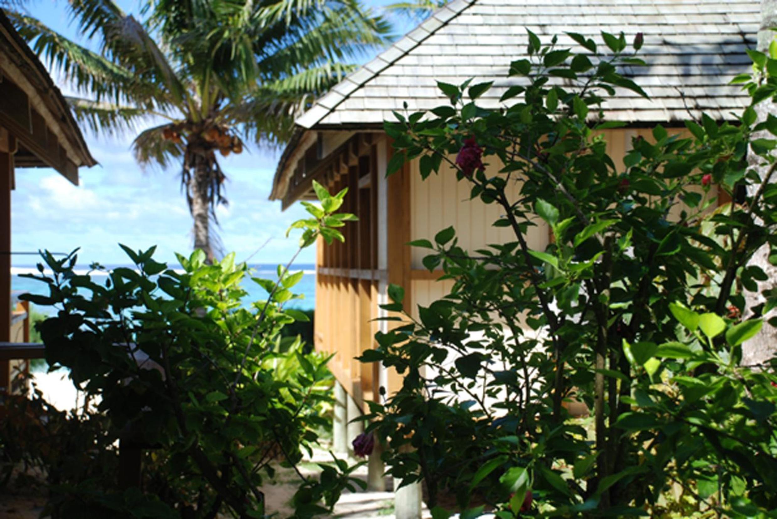 Palm Grove