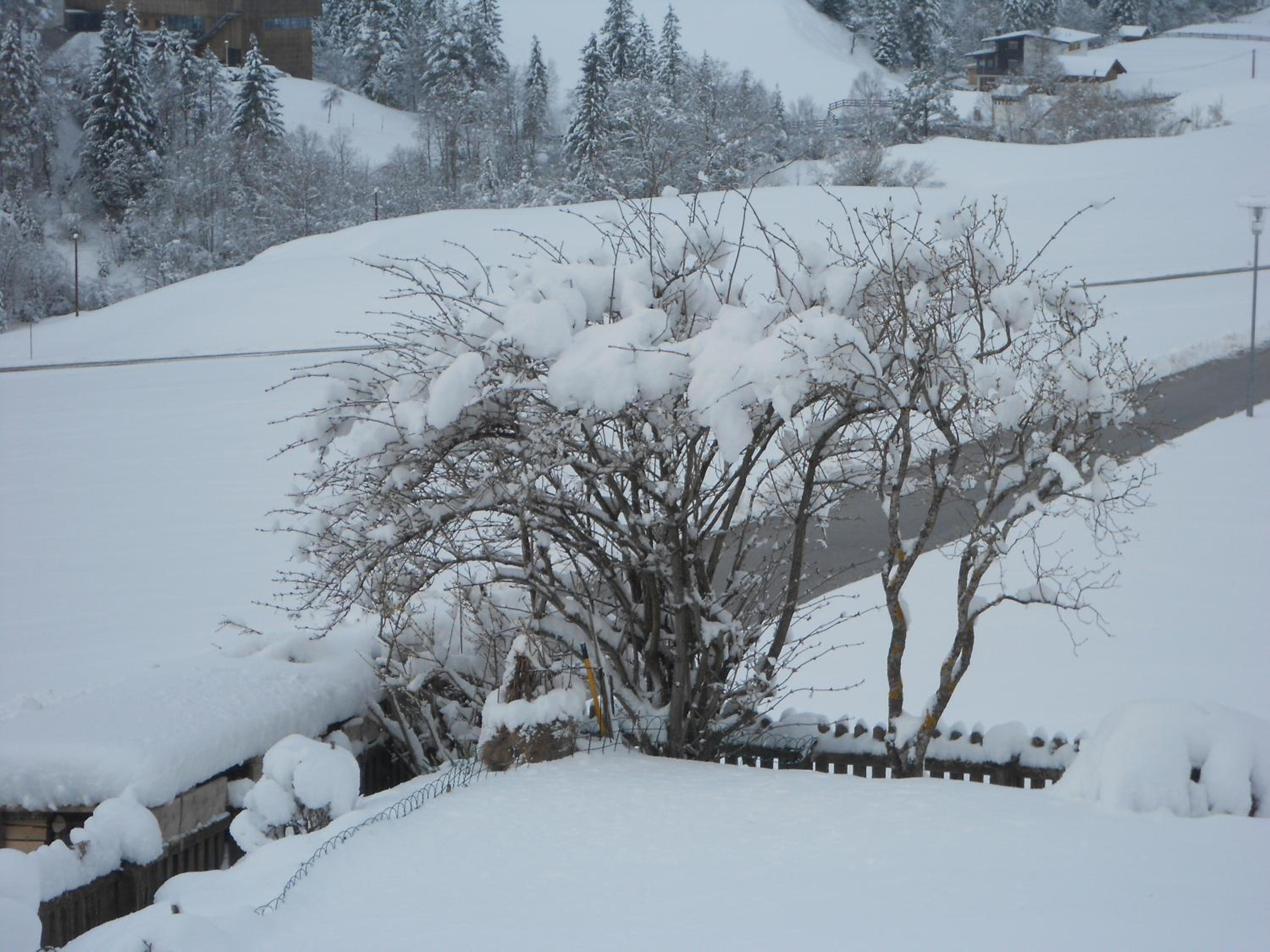 Haus Panorama