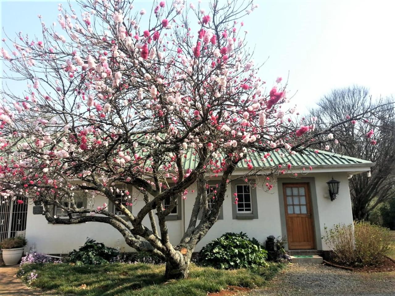 Photo 26
