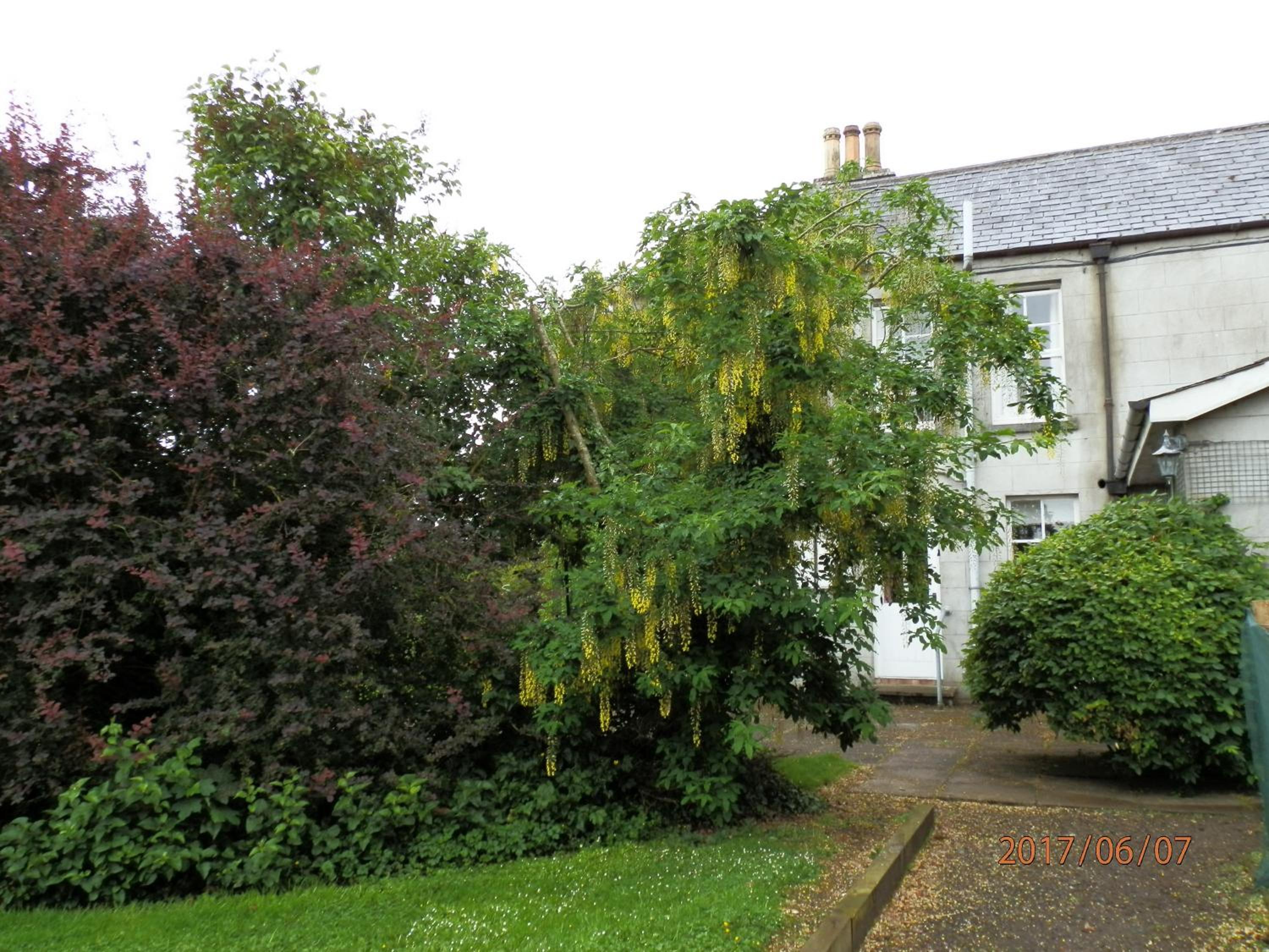 Crannagael House view 2