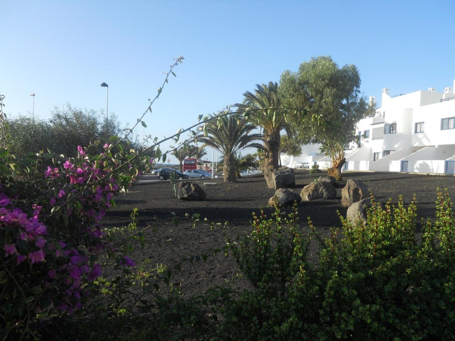 Apartamentos Club Pocillos