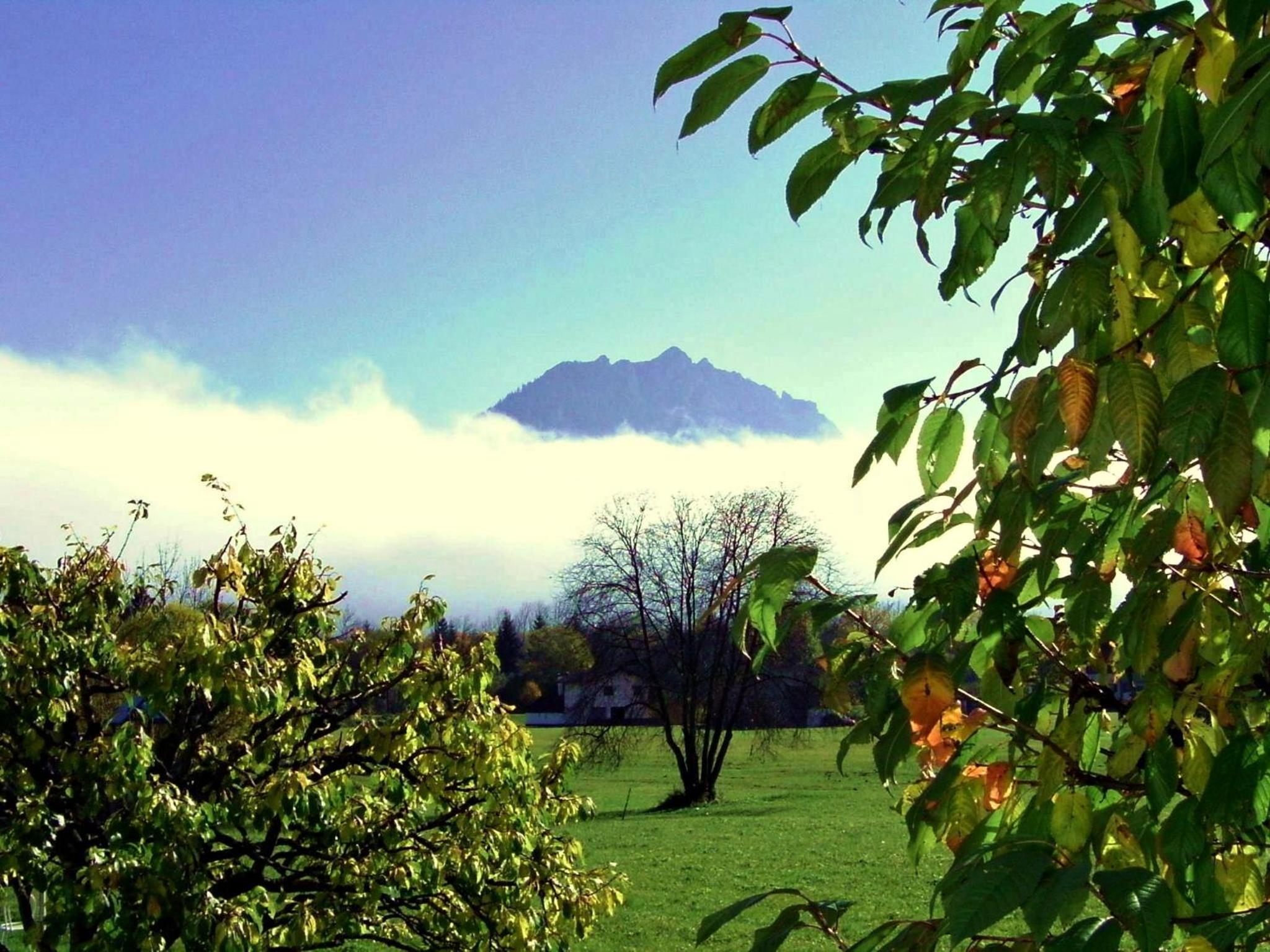 Landhaus Panorama