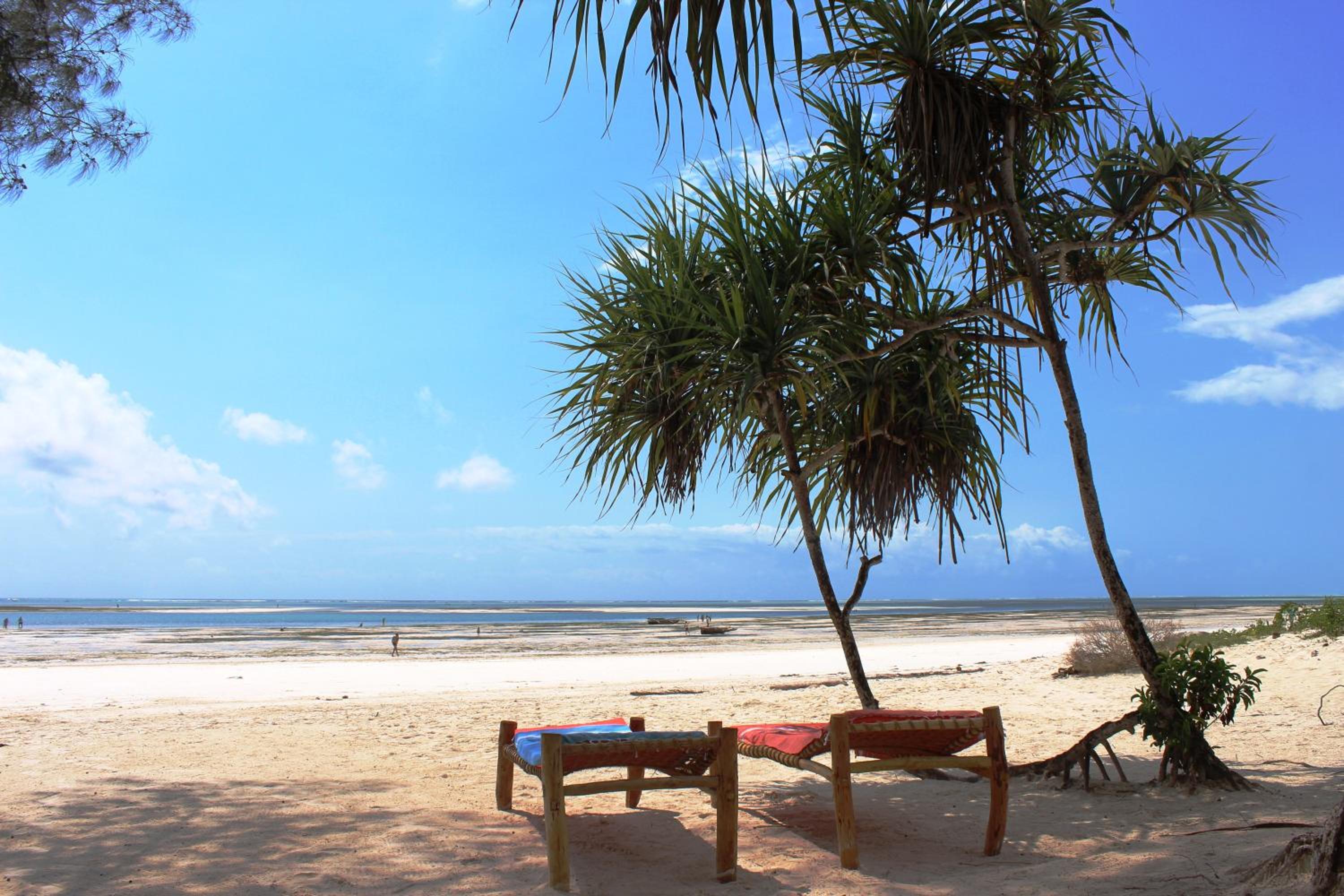 Kiwengwa Vacations - Maisha Marefu Apartments - Property Image 88