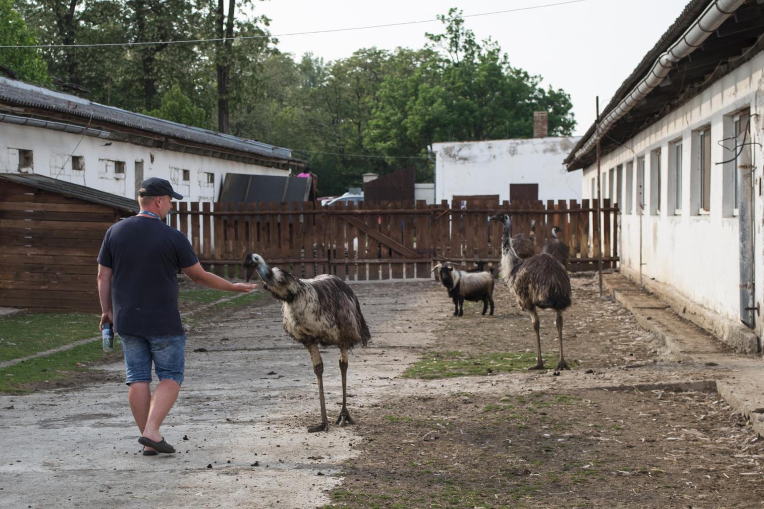 ZOOPARK Zelčín