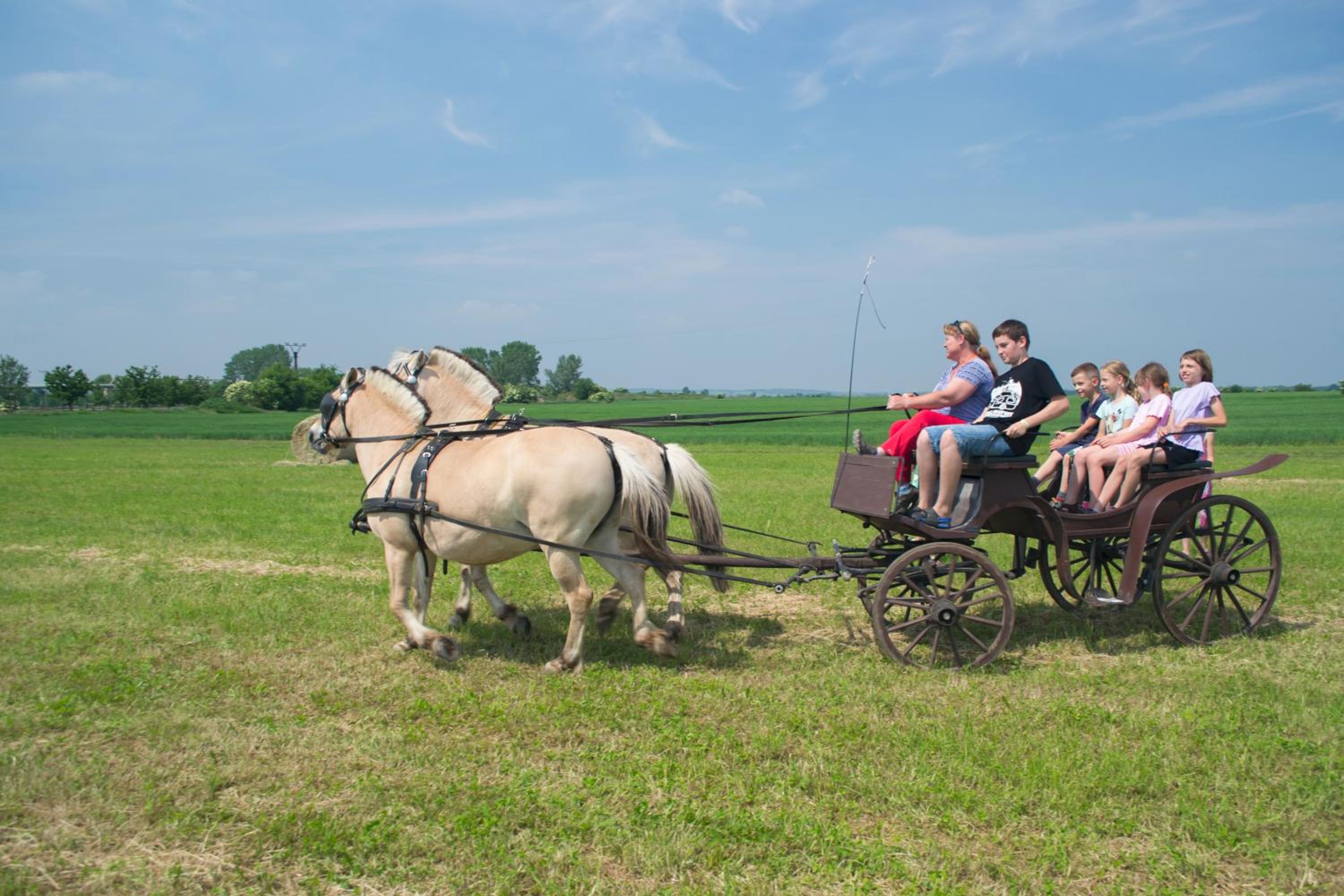ZOOPARK Zelčín