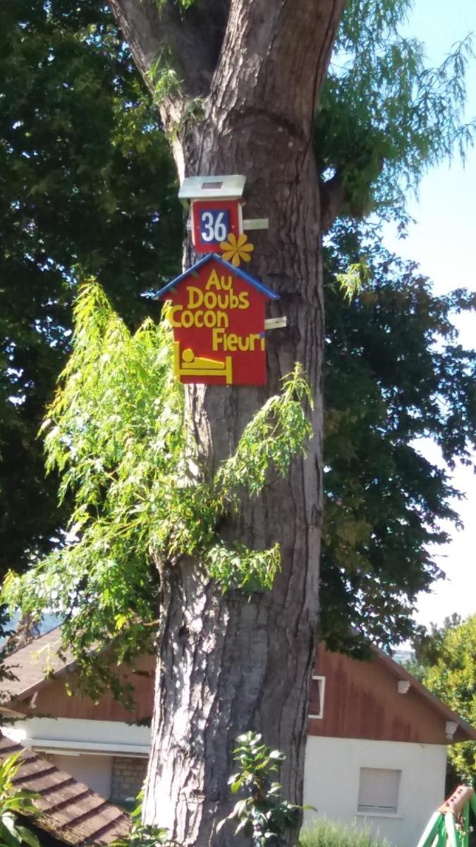 Au Doubs Cocon Fleuri view 4