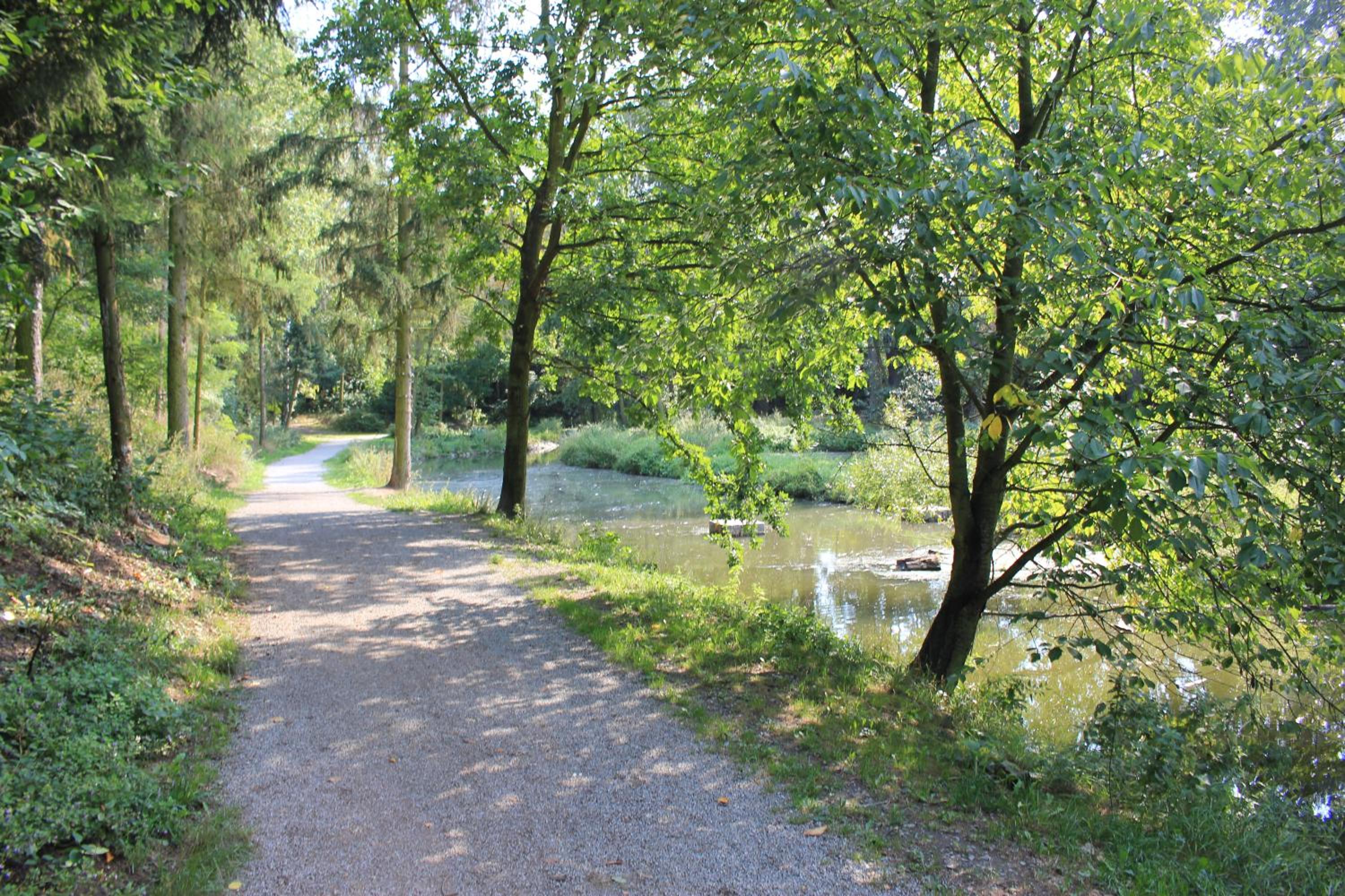 Apartments Severka