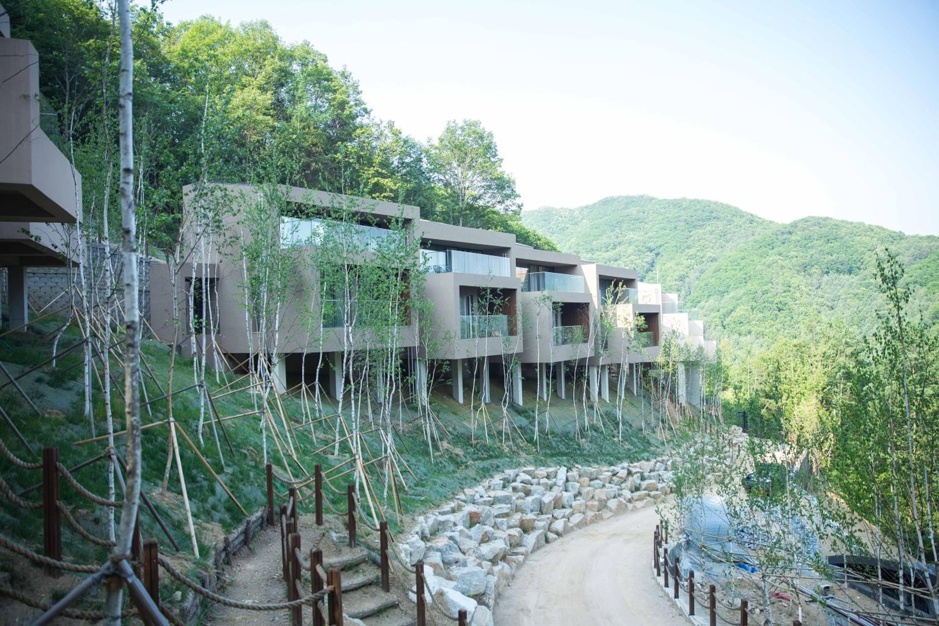 Healience Village
