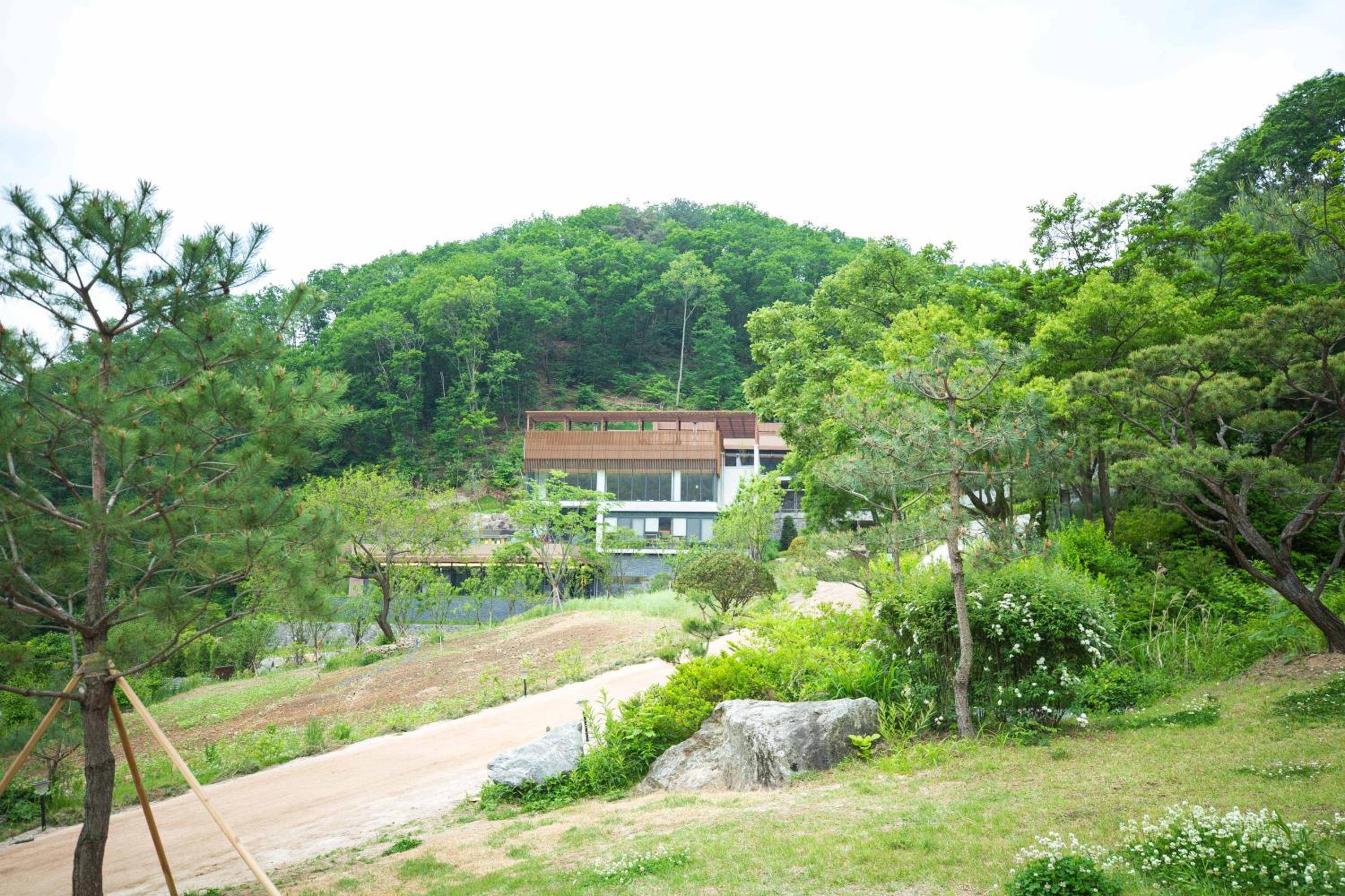 Healience Village