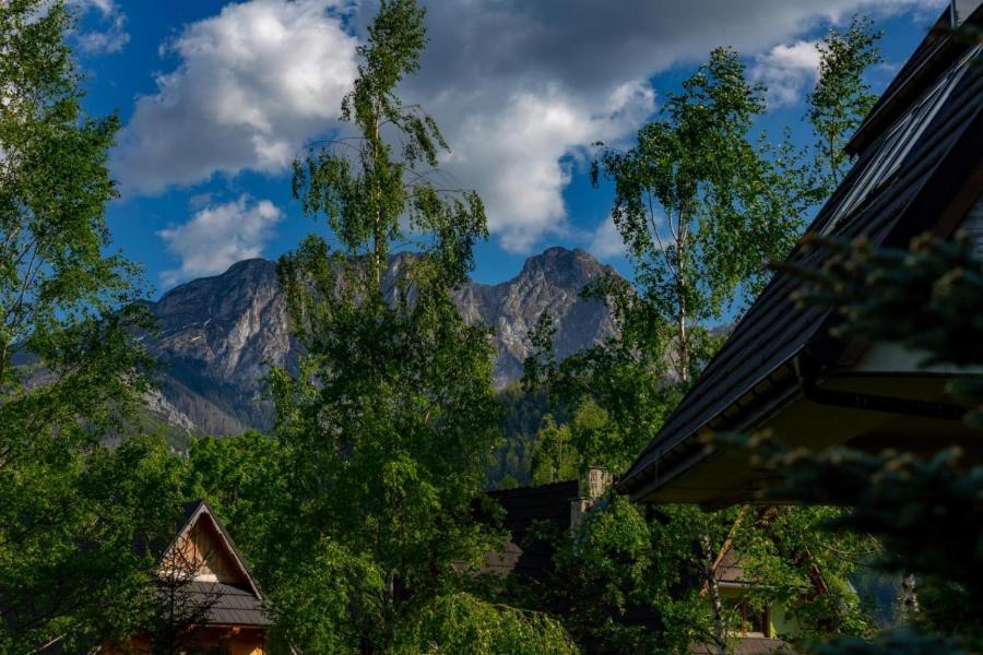 APARTMENT BORDEAUX Szymoszkowa Residence Zakopane Kościelisko view 4