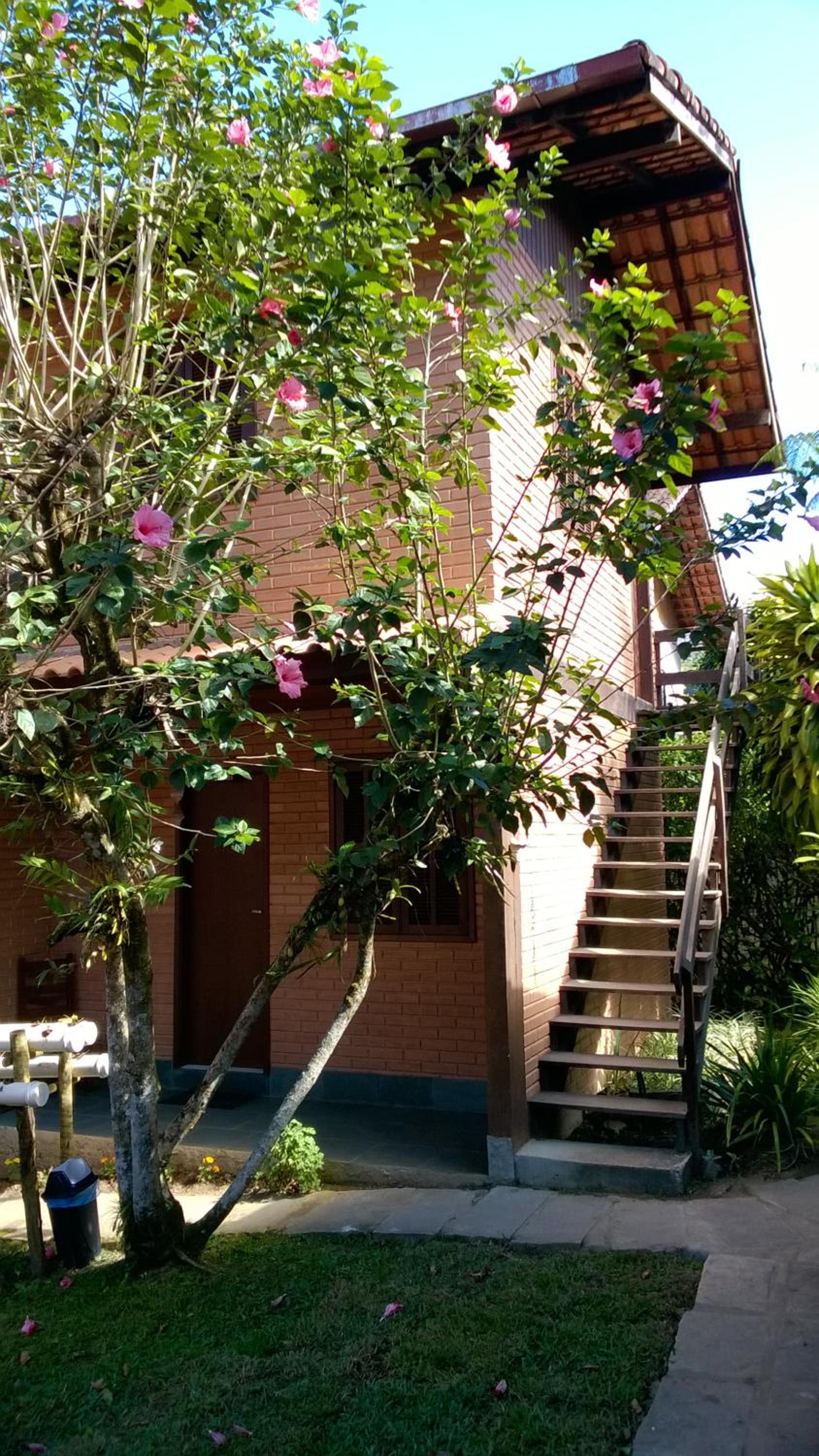 Photo 36