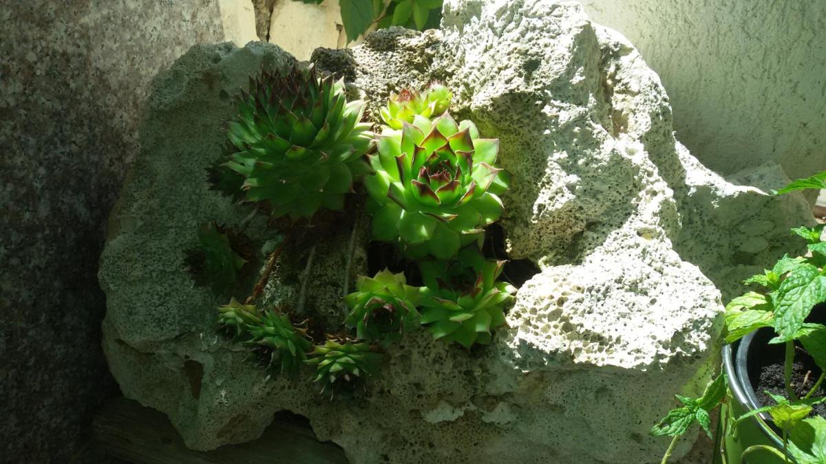 Photo 19